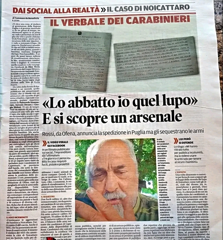 @Amo il lupo tutti gli animali
