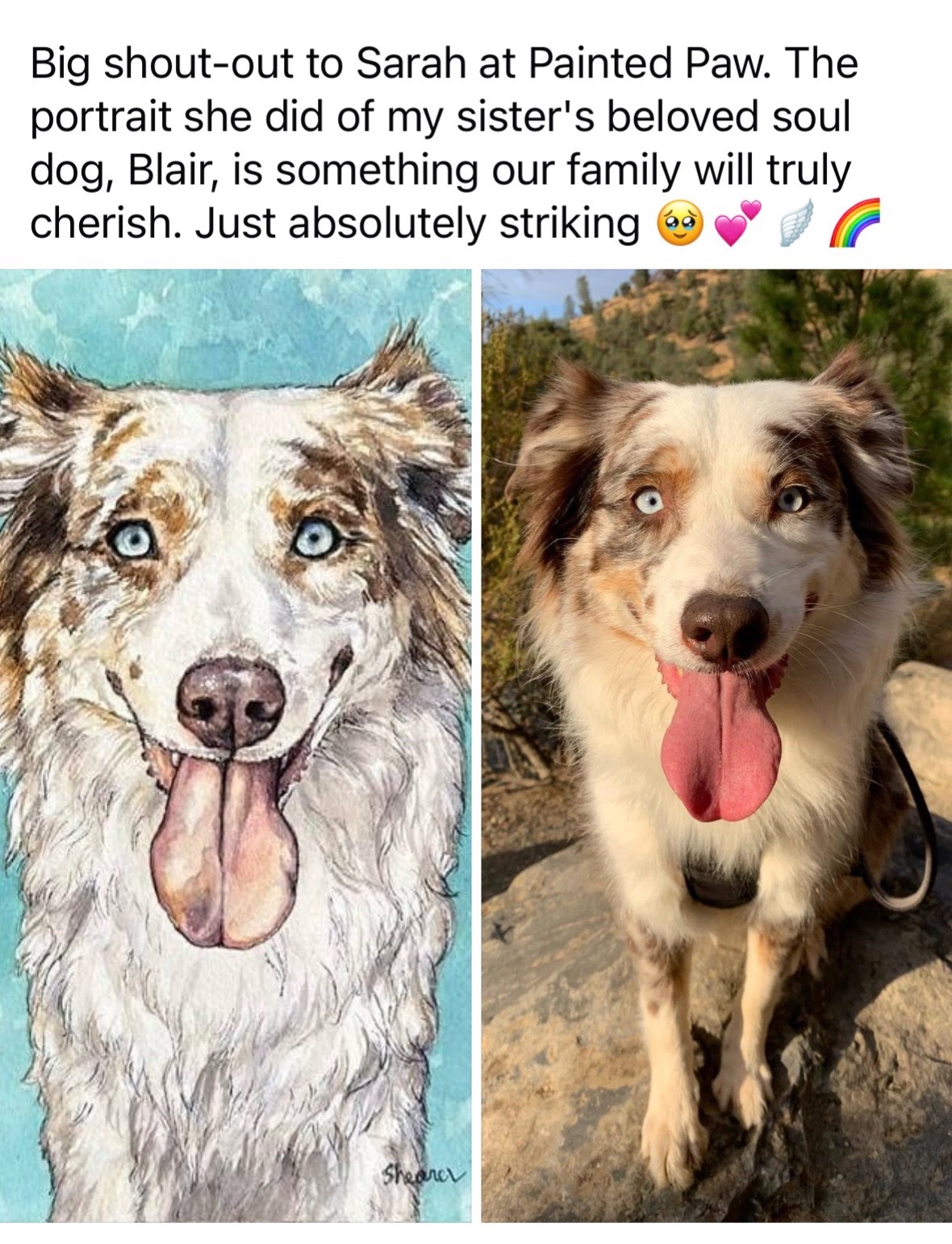 @Pet Portrait Artist