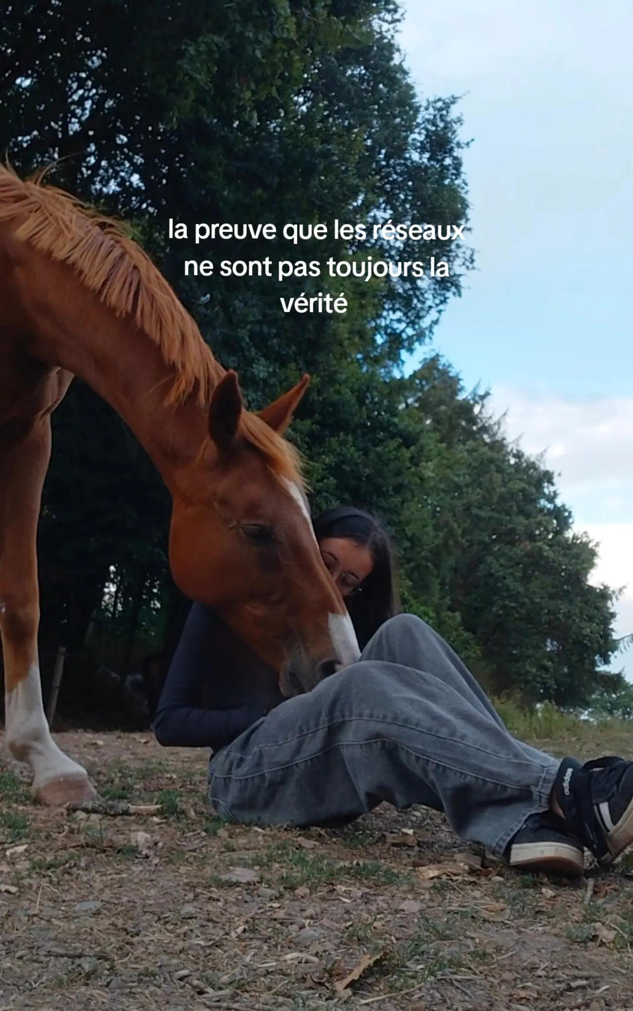 @un_coeur_alezan