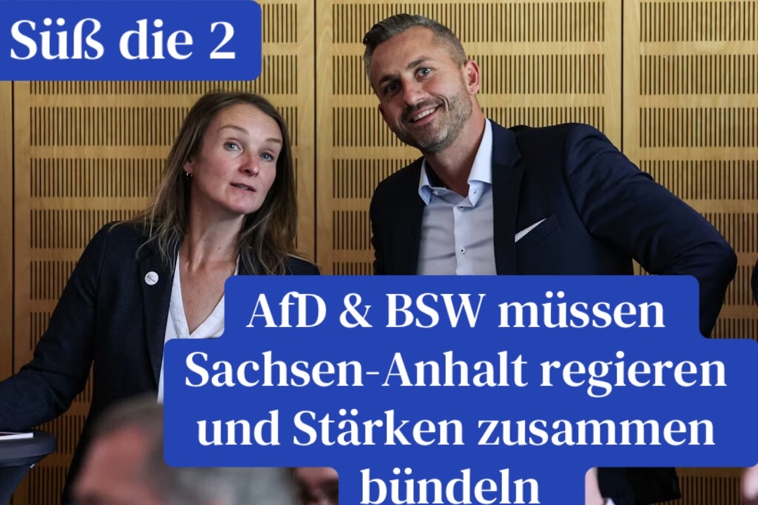 @vizekanzlerderherzen