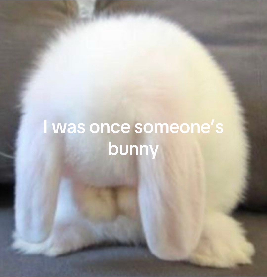 @Ø