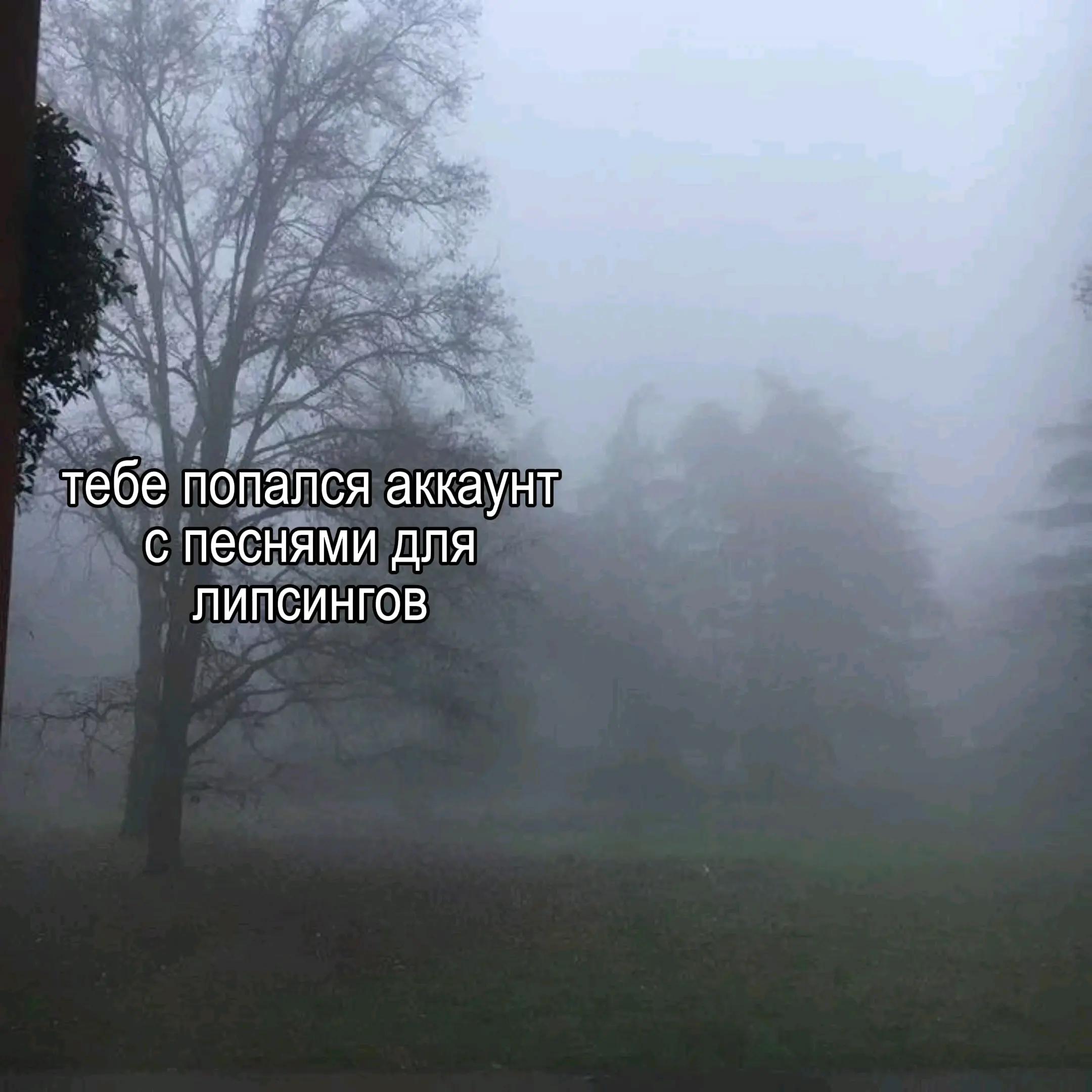 @песни для липсингов