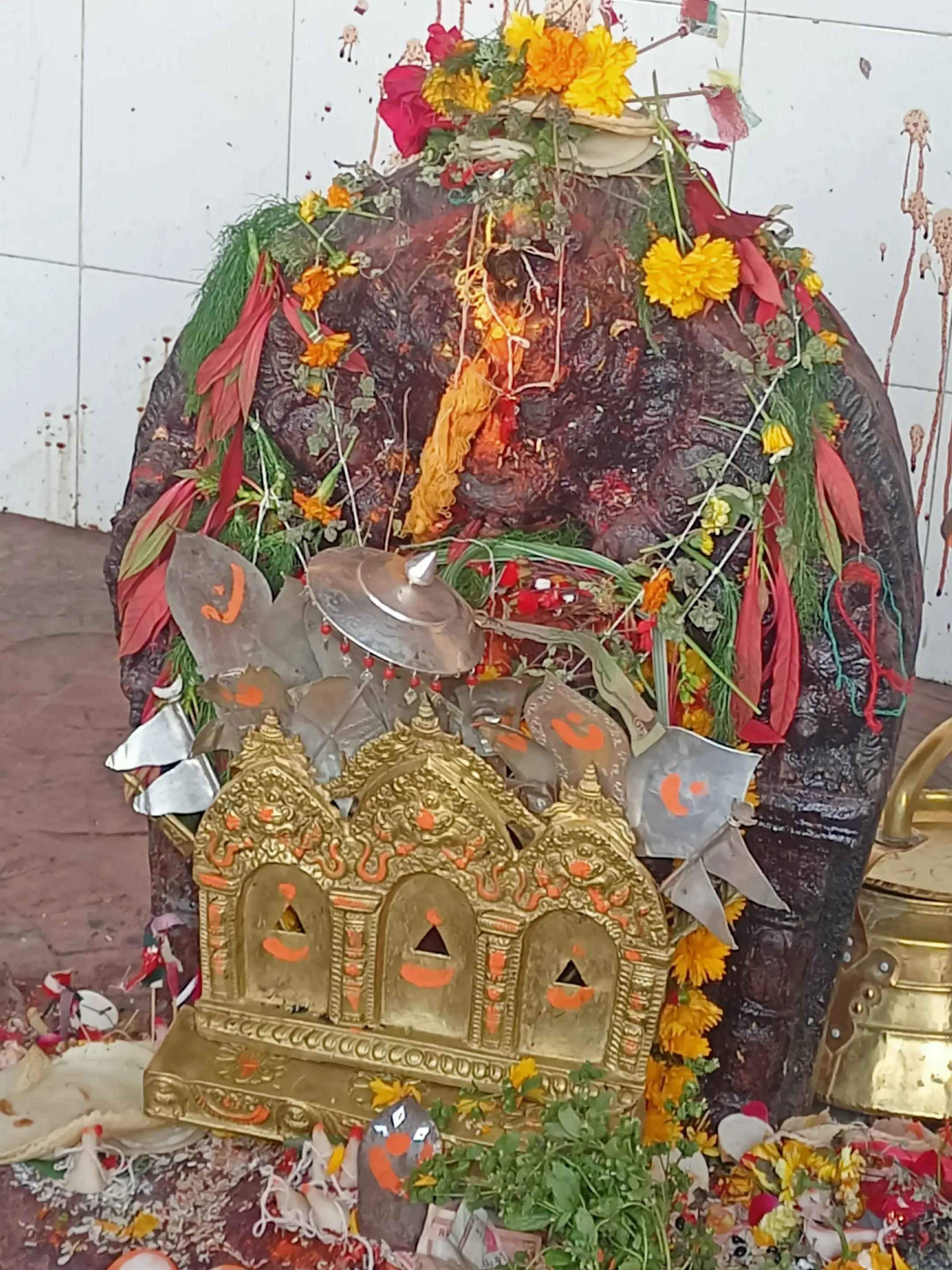@Rashmi Ranjitkar
