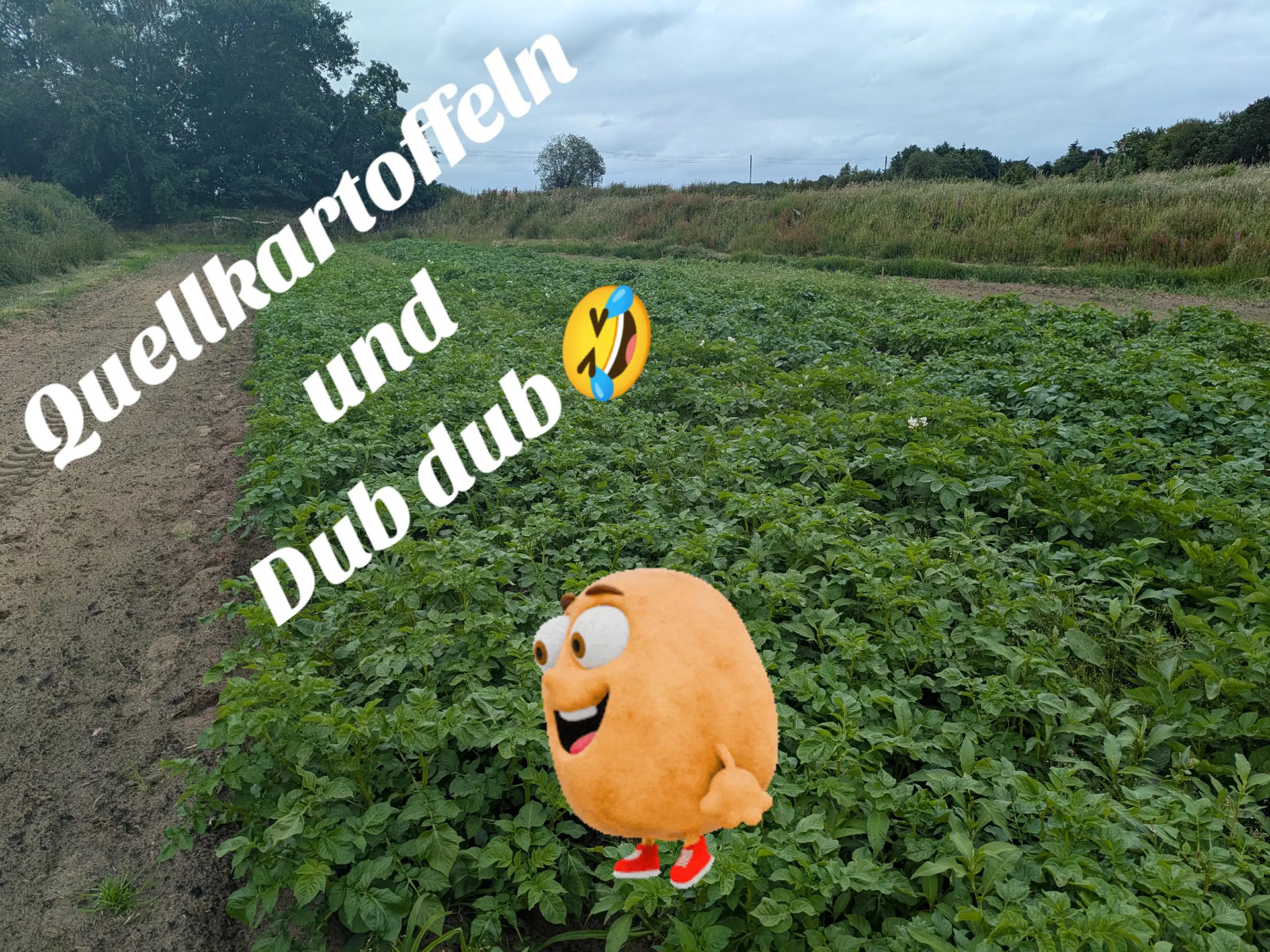 @reinhardgebben