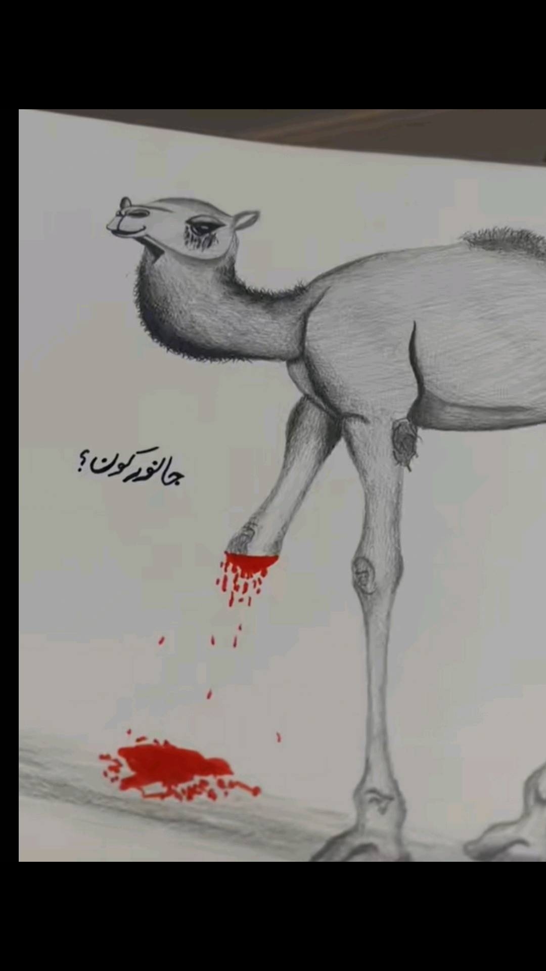 @🦅TOTAKHAIL🦅 گُجر 🥷 C. H