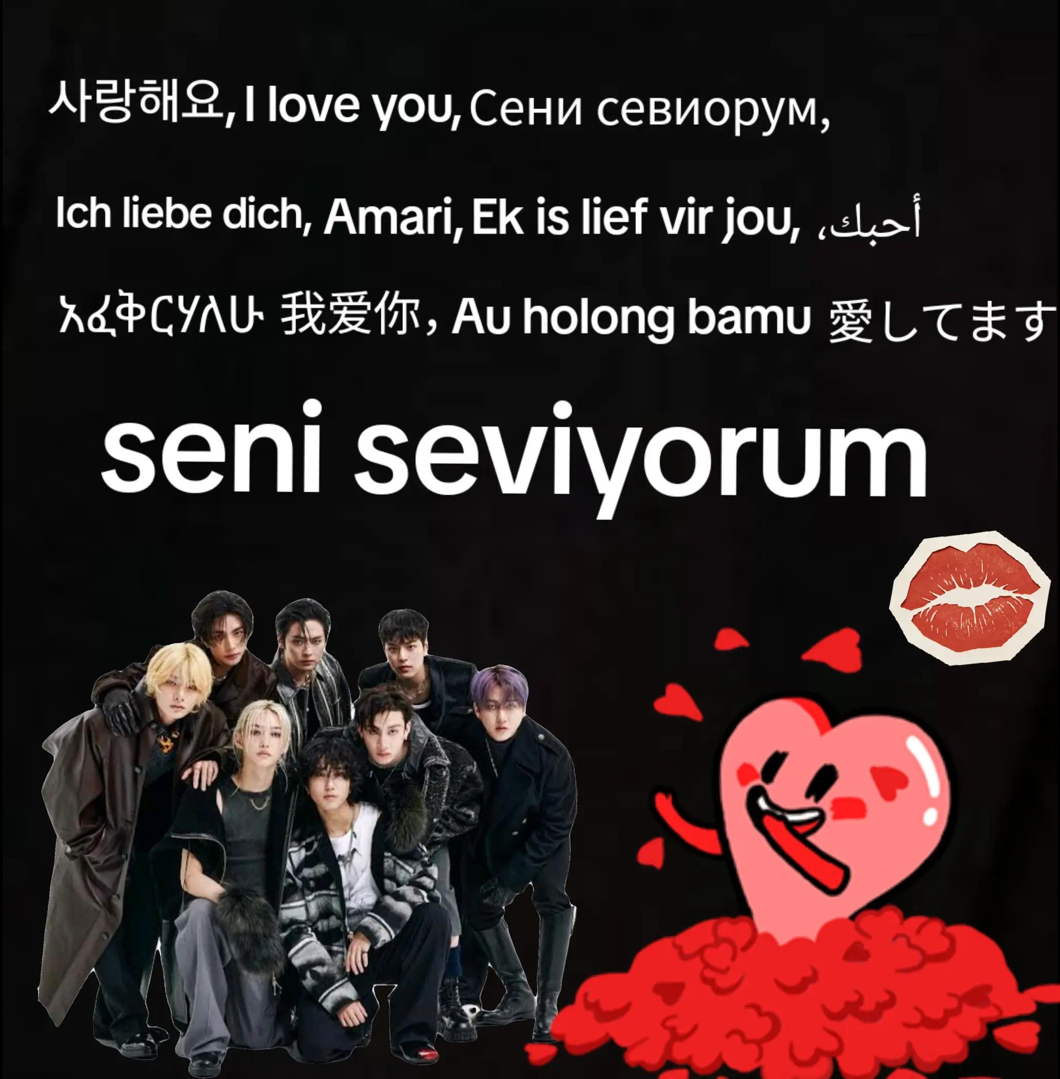 @스트레이 키즈