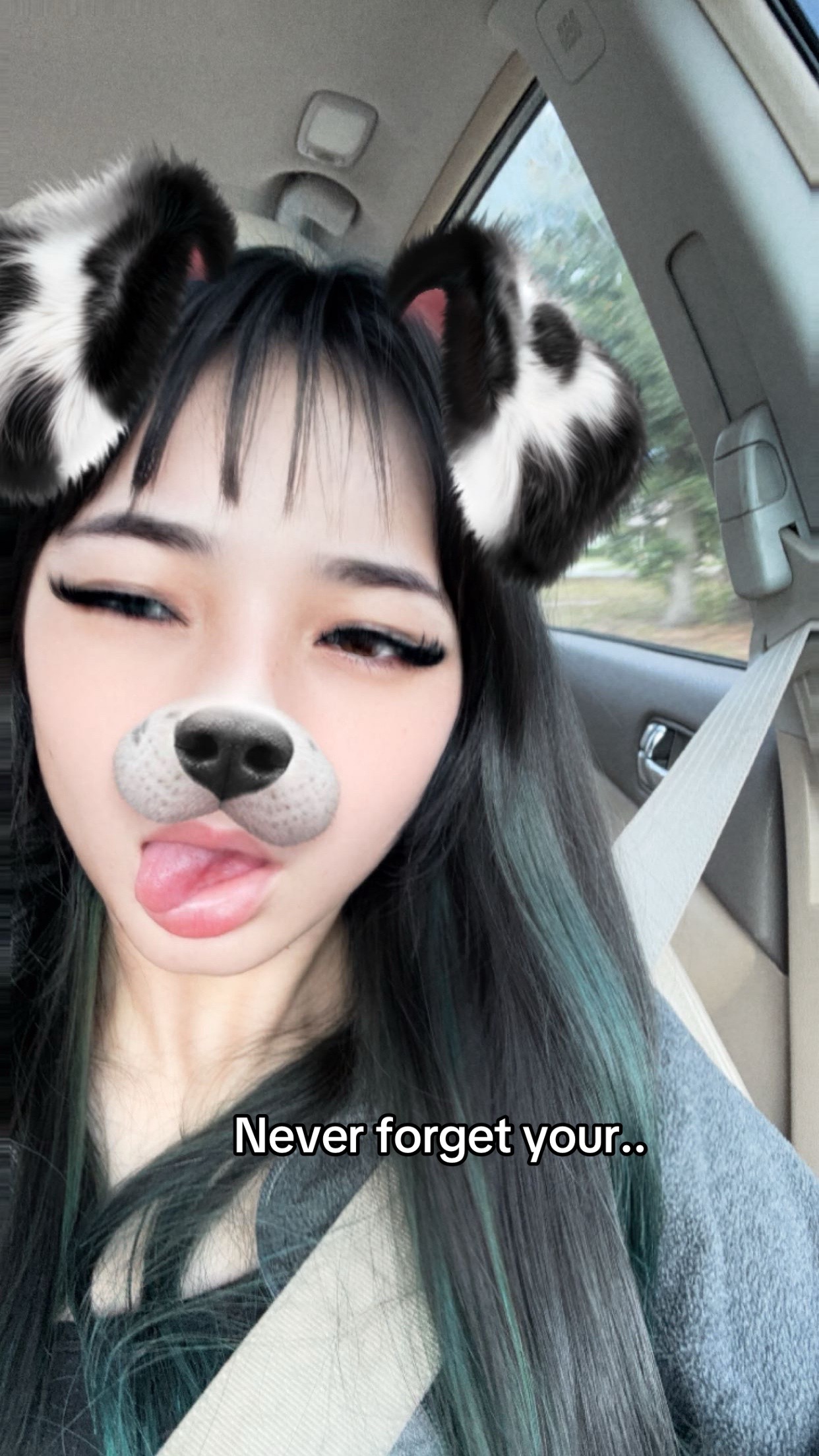 @niasosa
