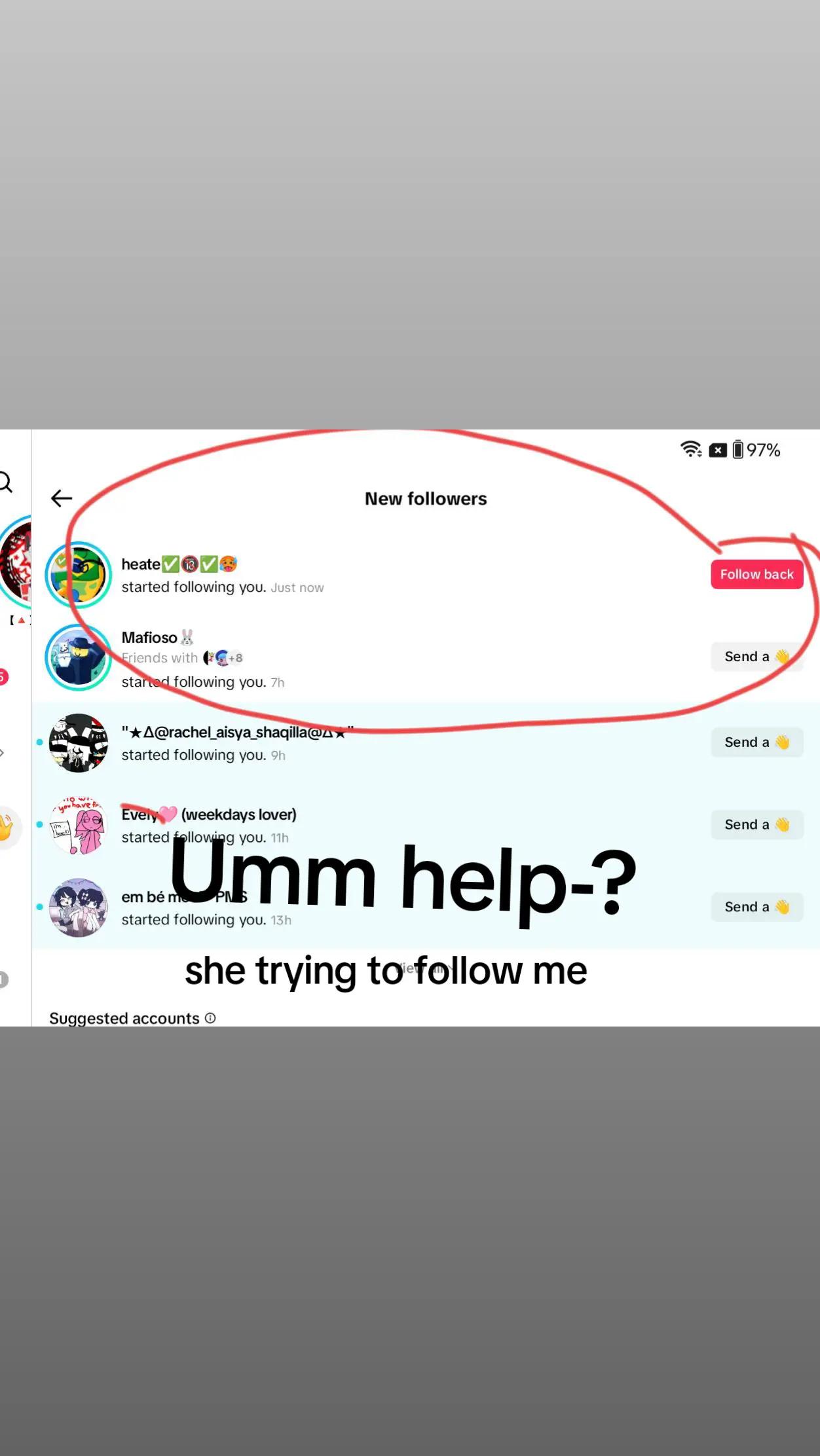 @/pinkMusashi🩷