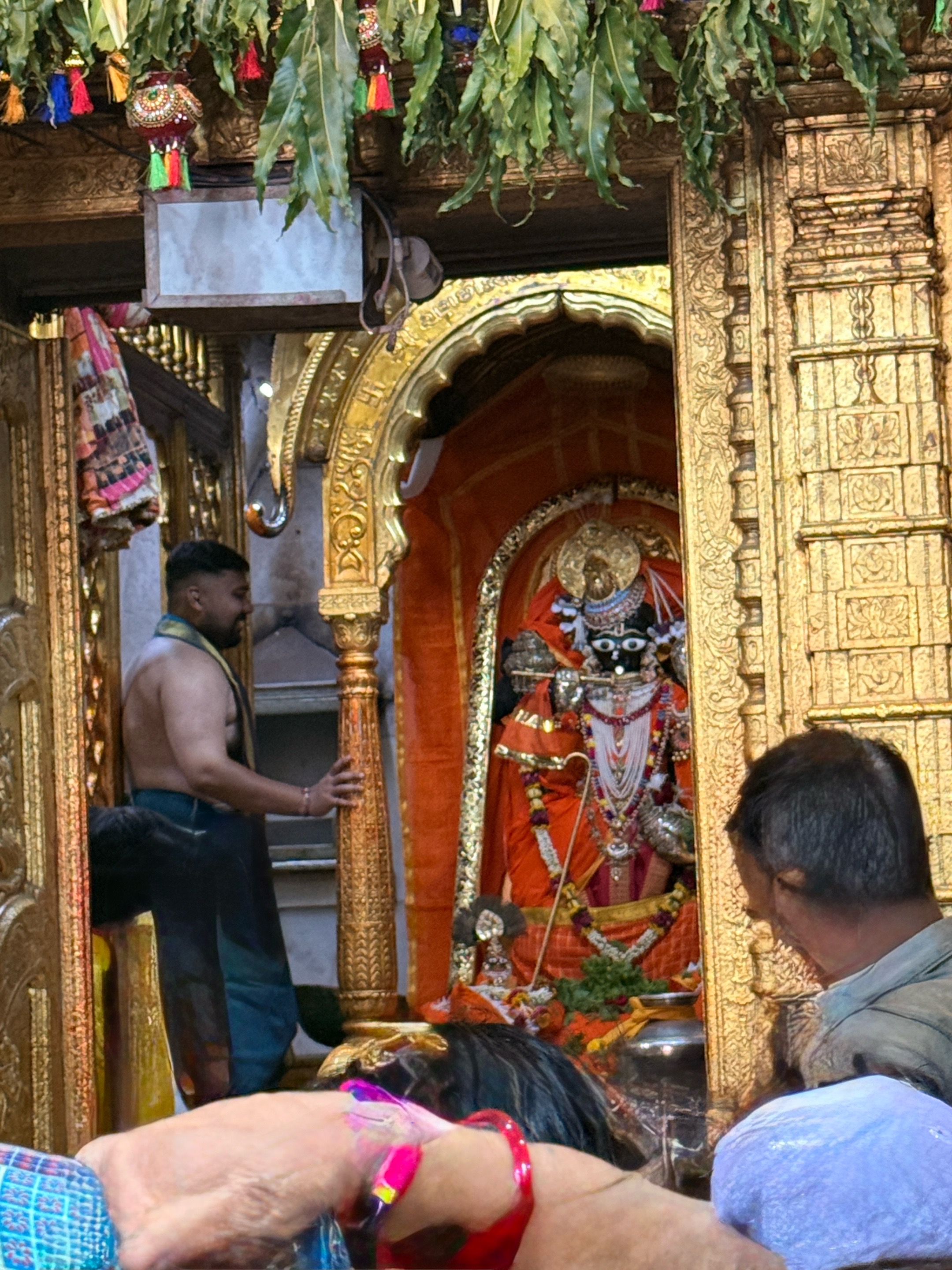 @Jagruti