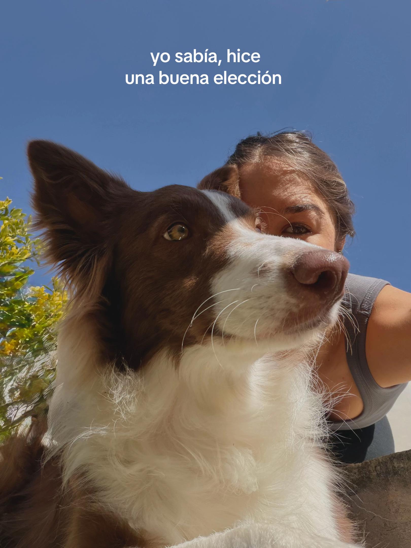 @cata_barbuto