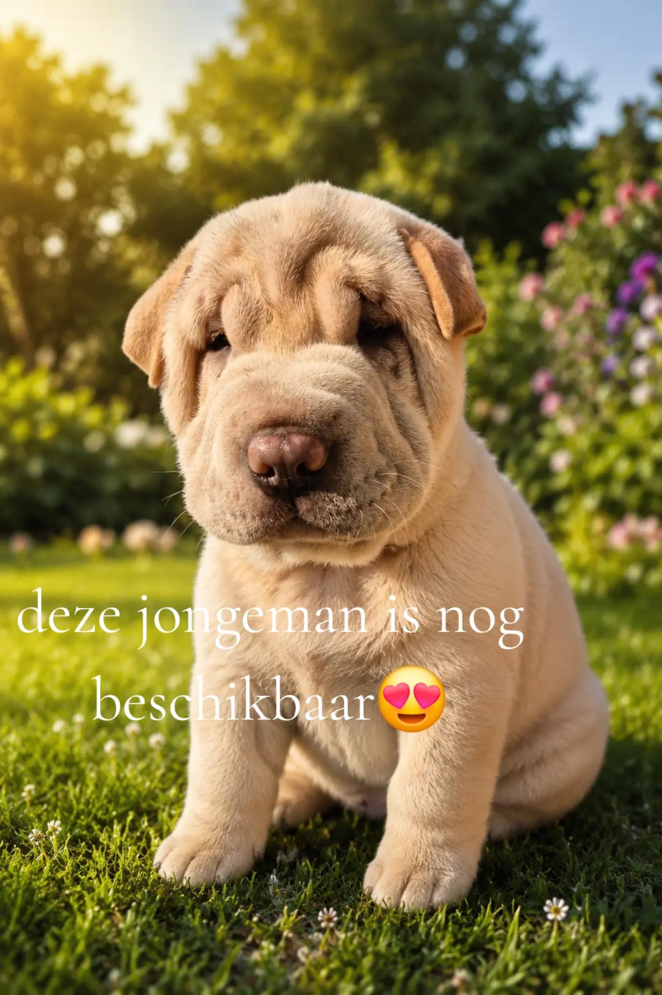 @Wendy Aarts