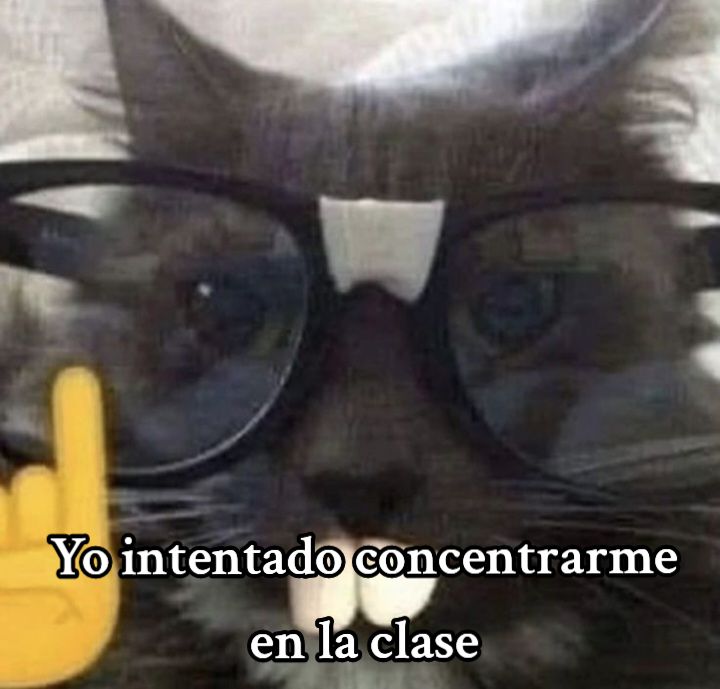 @Mariogt14 👻😹