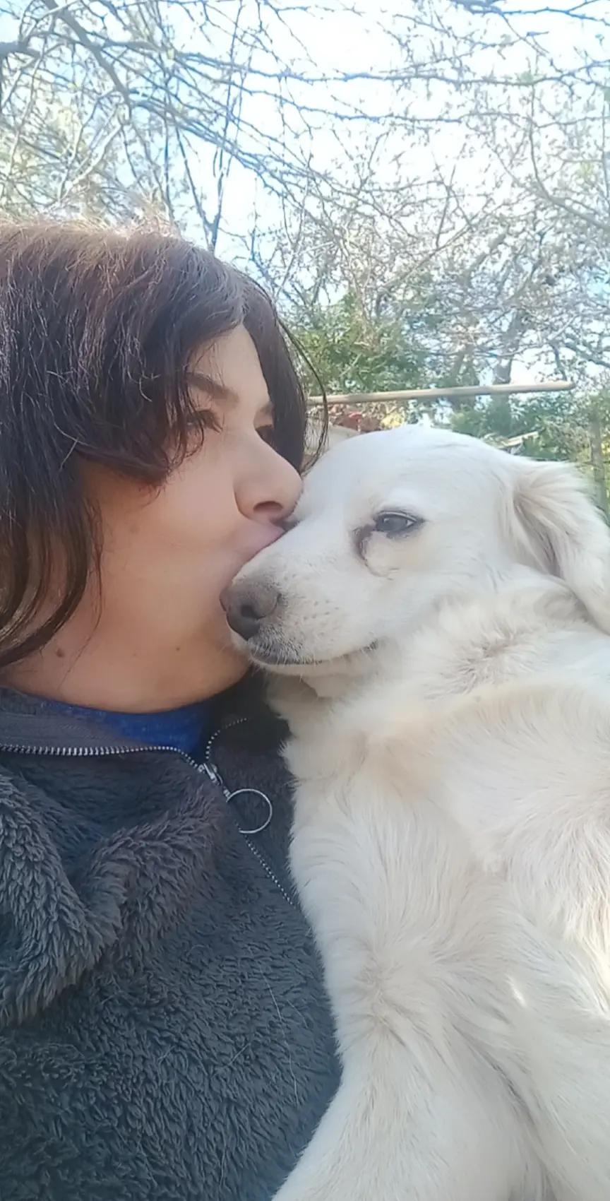 @Amo il lupo tutti gli animali