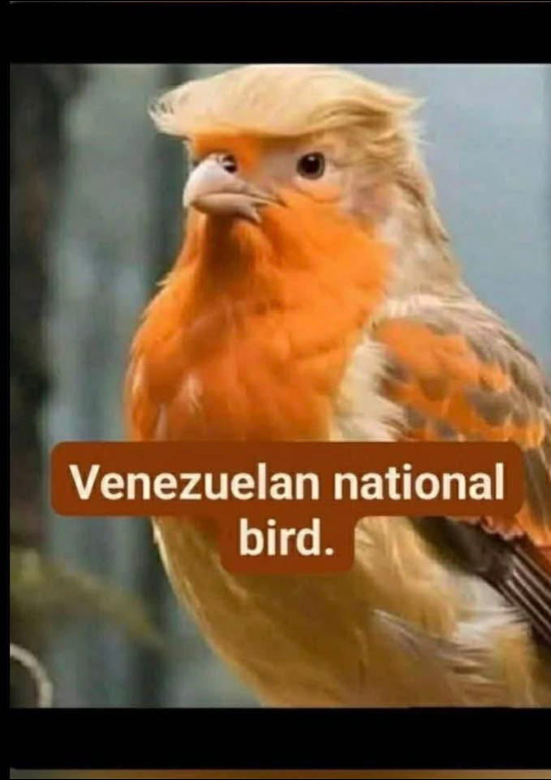 @JHRN