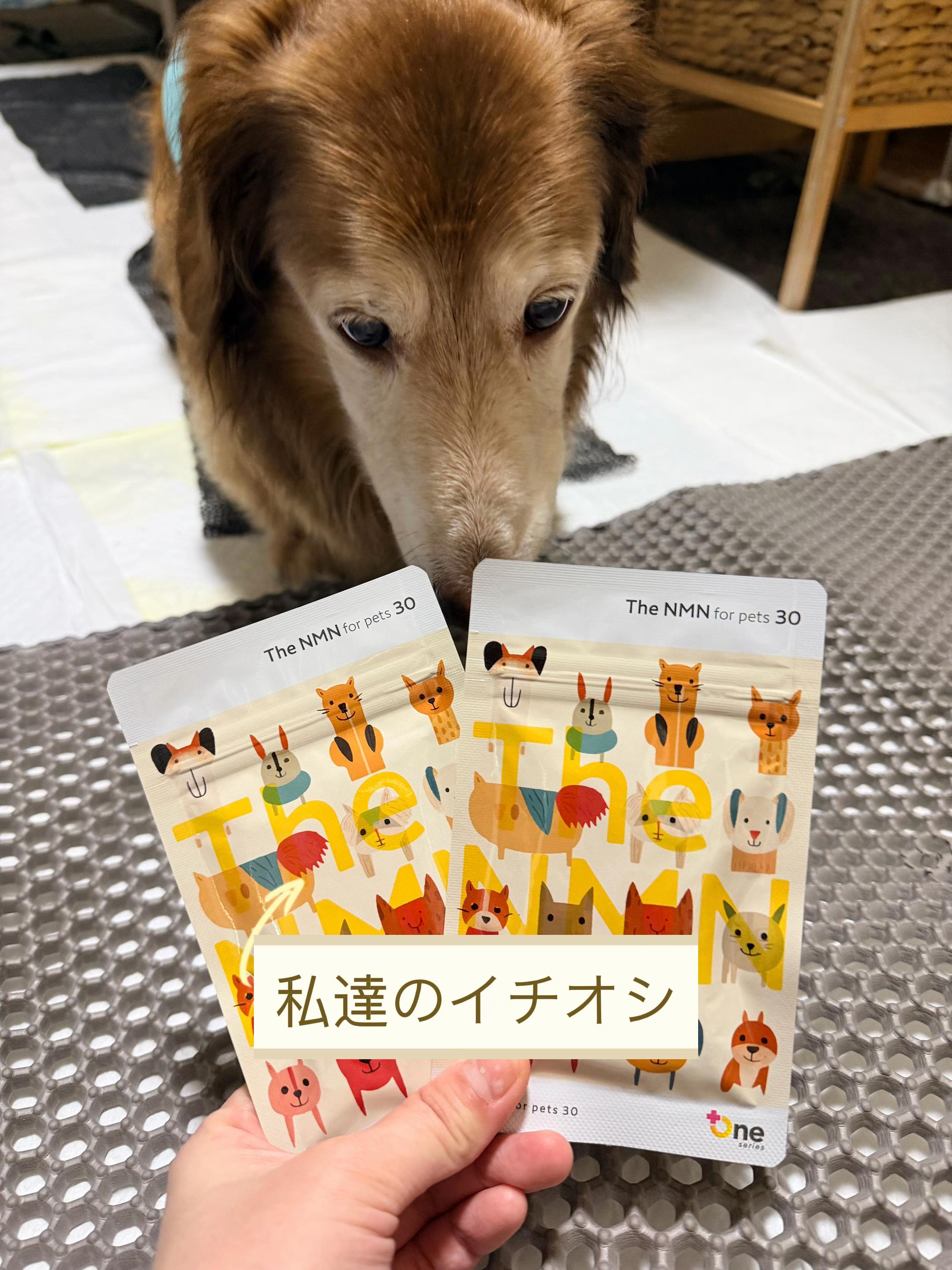 @しもひ