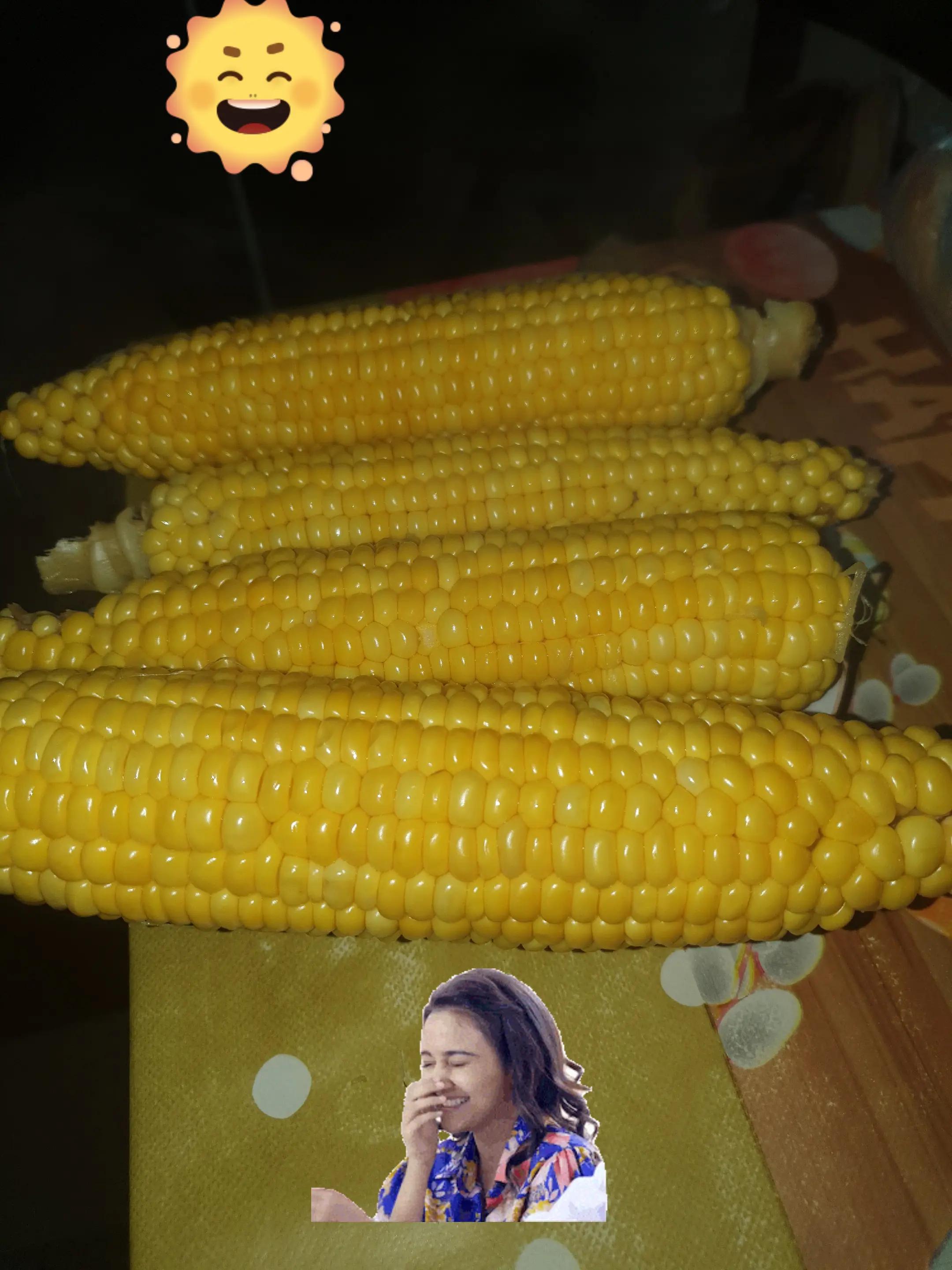 @marianarosoga276
