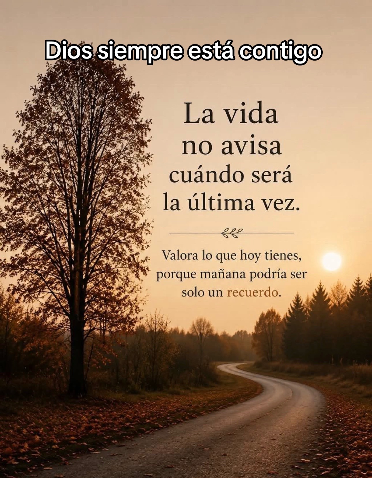 @🙏🏼 Jesús la luz del mundo 🌎