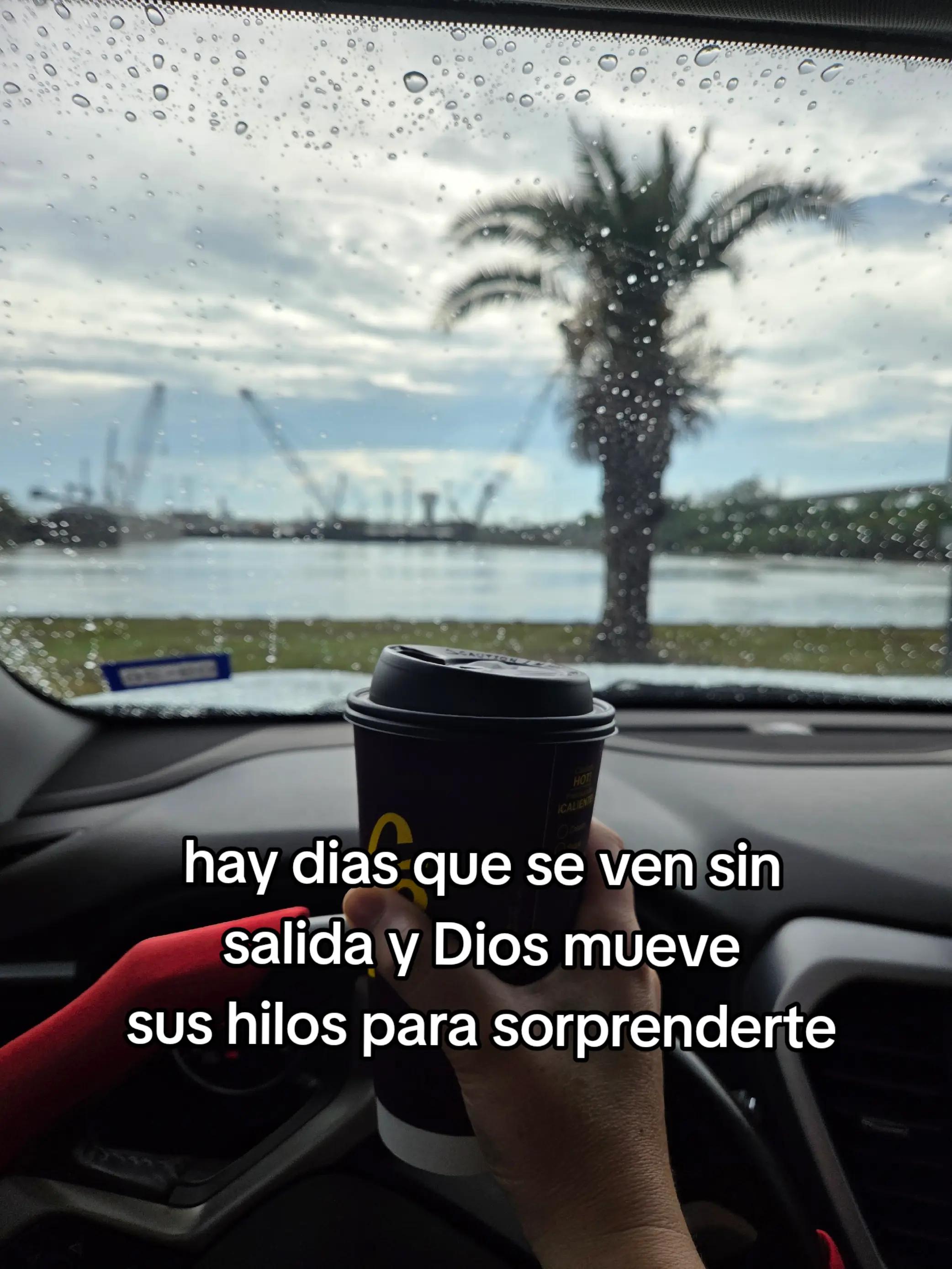 @Guillermina Ayala