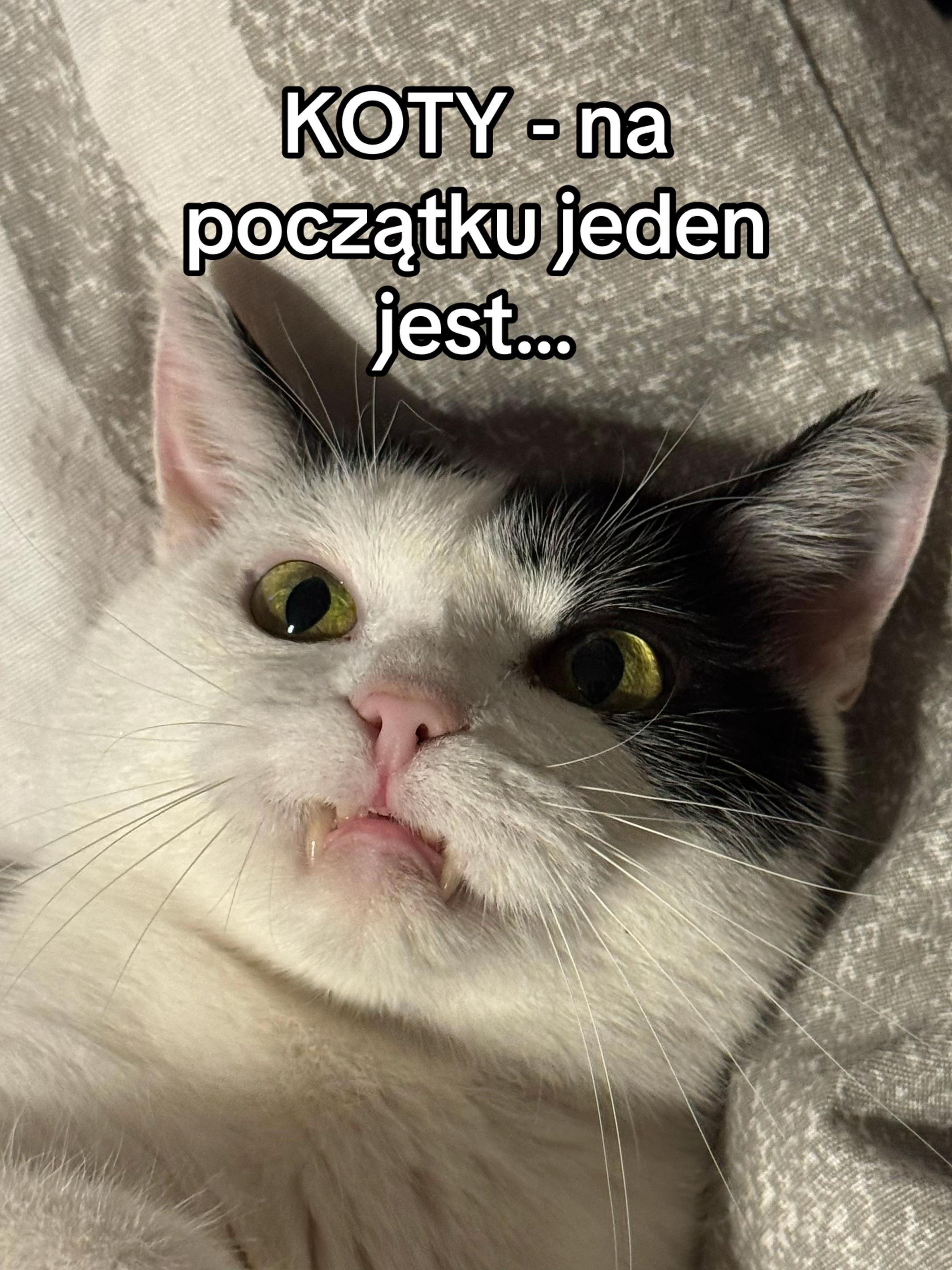 @buba