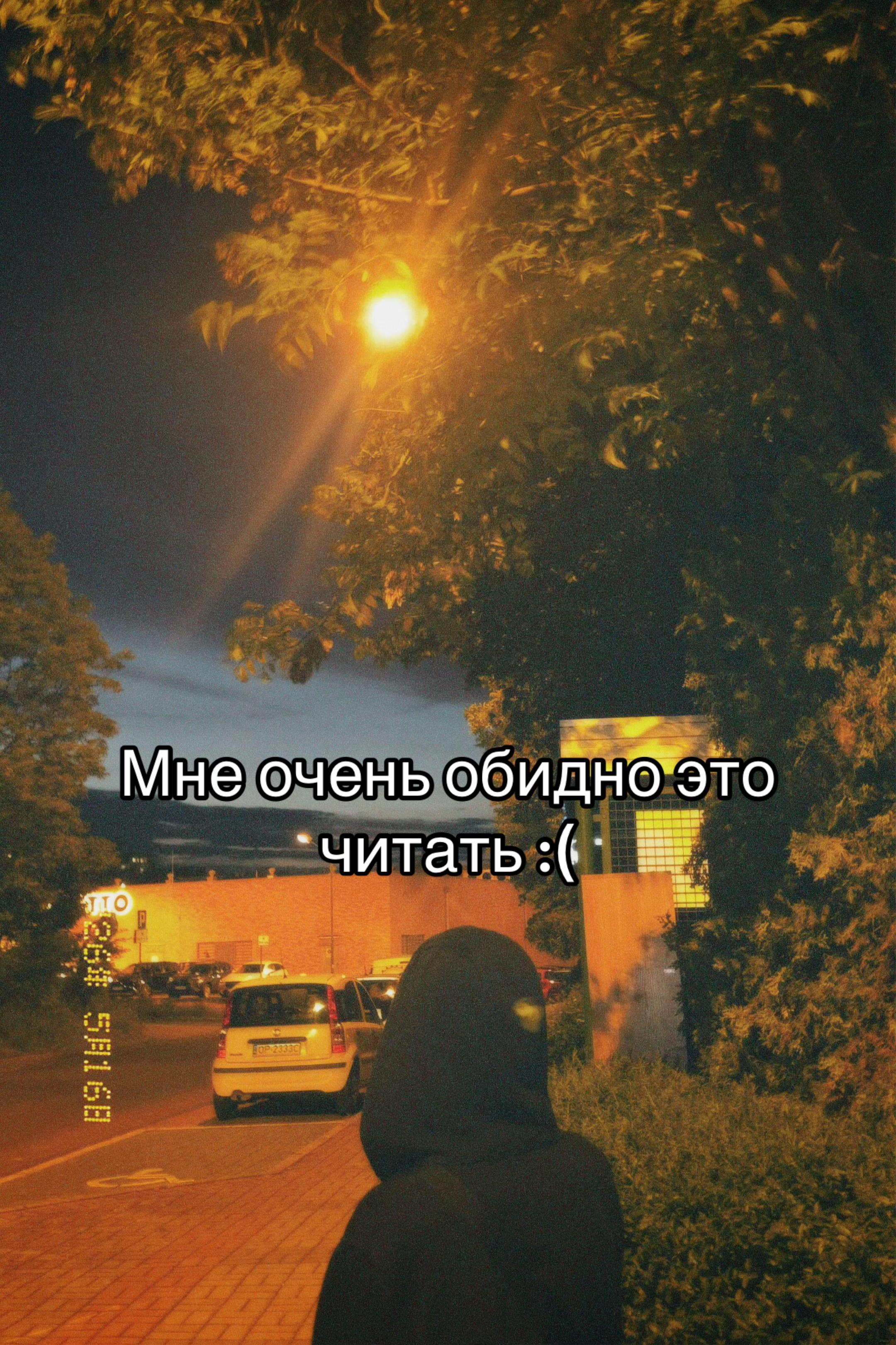@🫒ᗪᗩᗯIᗪ/GELIK🦉