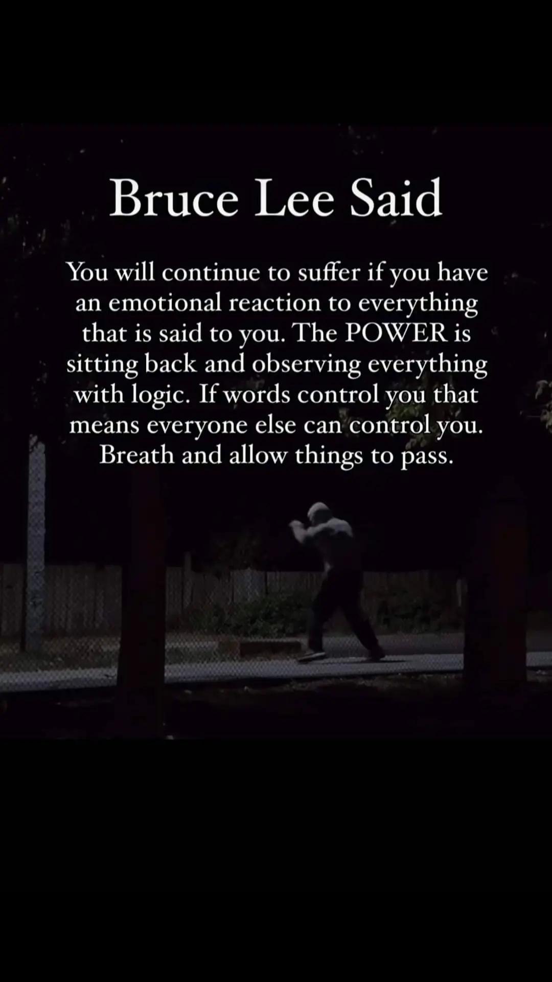 @Shadow Wolf JKD Academy
