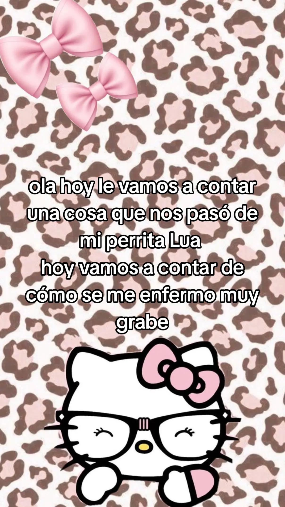 @💗 sofia 💗