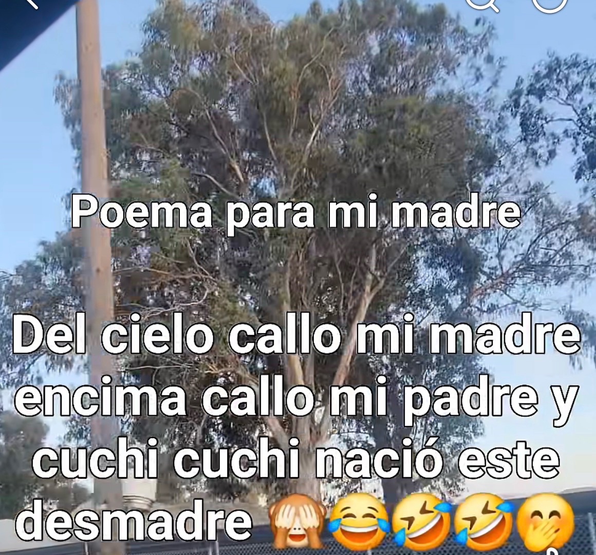 @🇲🇽🔋PILAS🔪CON🗡️JAROCHO🔋