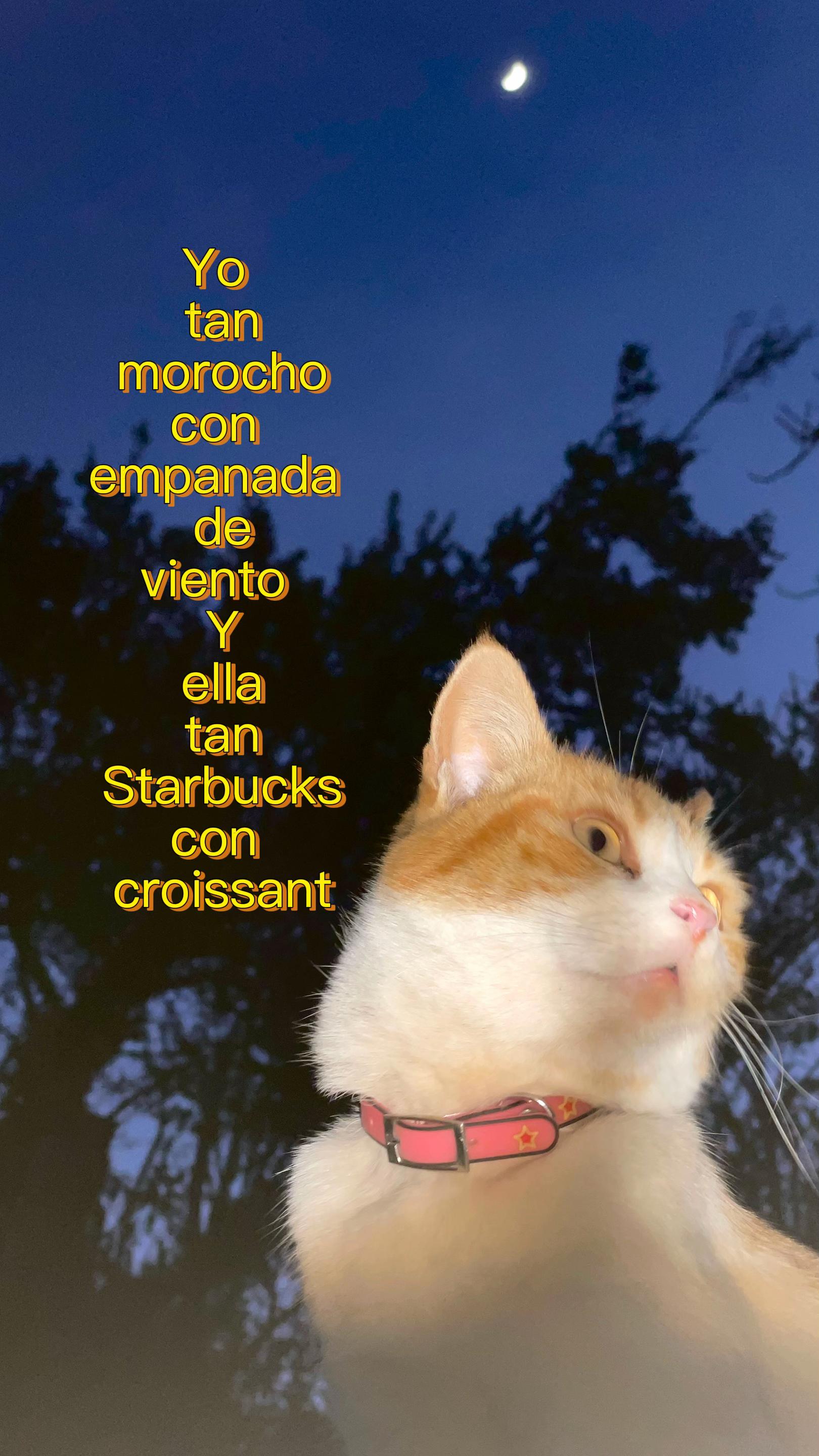 @Teo