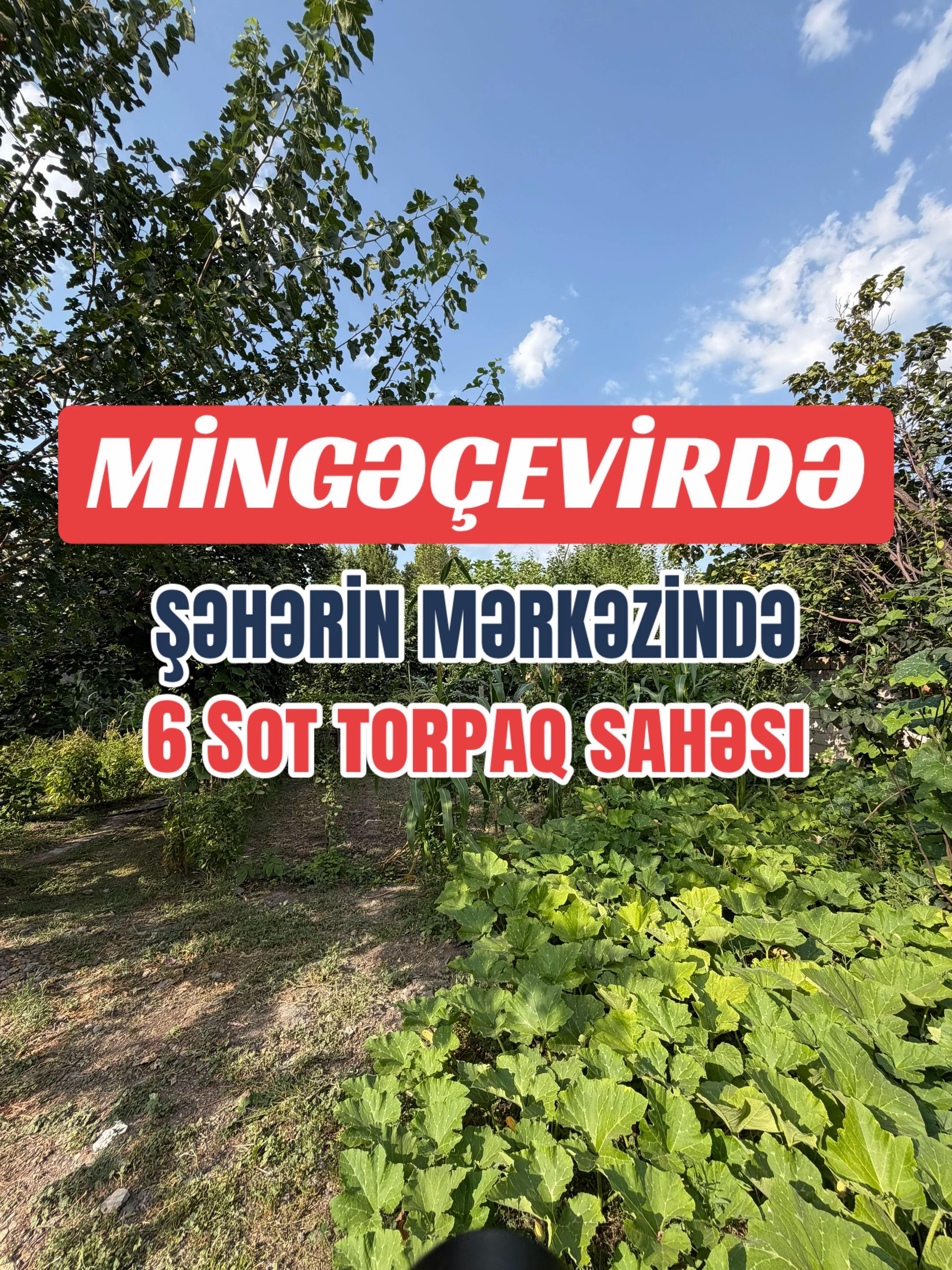 @SALƏDDİN BAXŞƏLİYEV