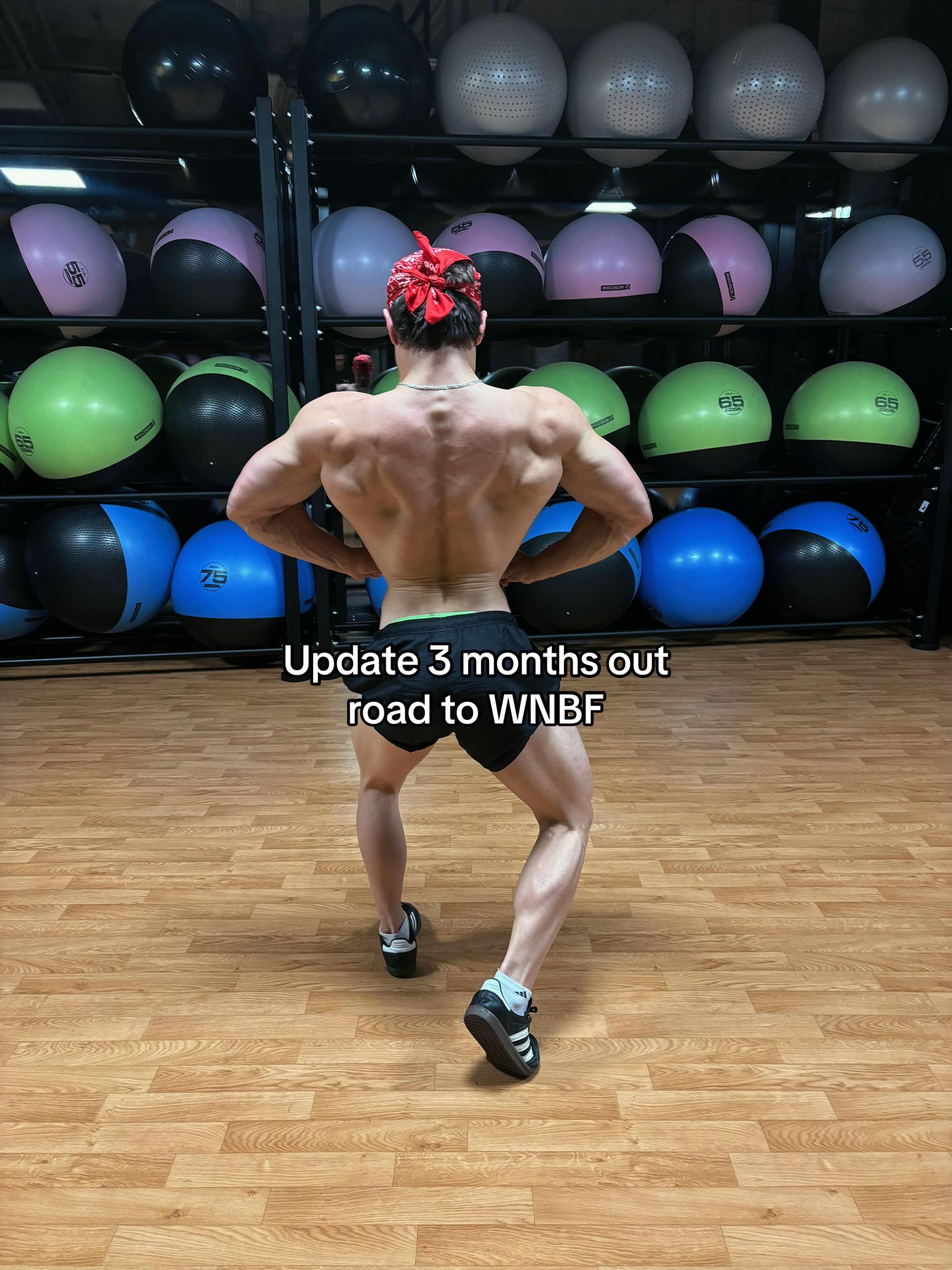 @michaltriceps_13.9cm