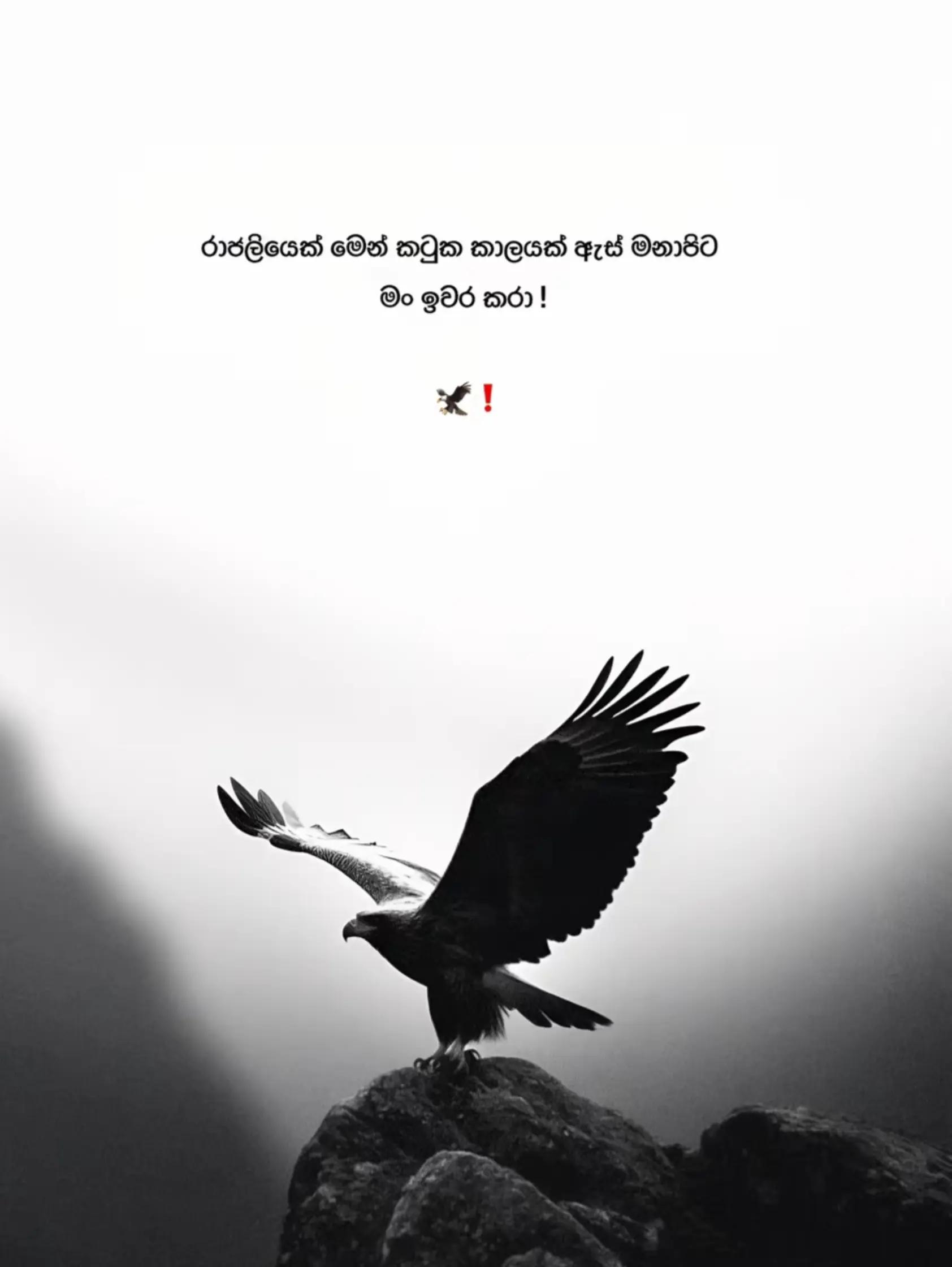 @𝗞 𝗔 𝗩 𝗜 𝗬 𝗔 🥷