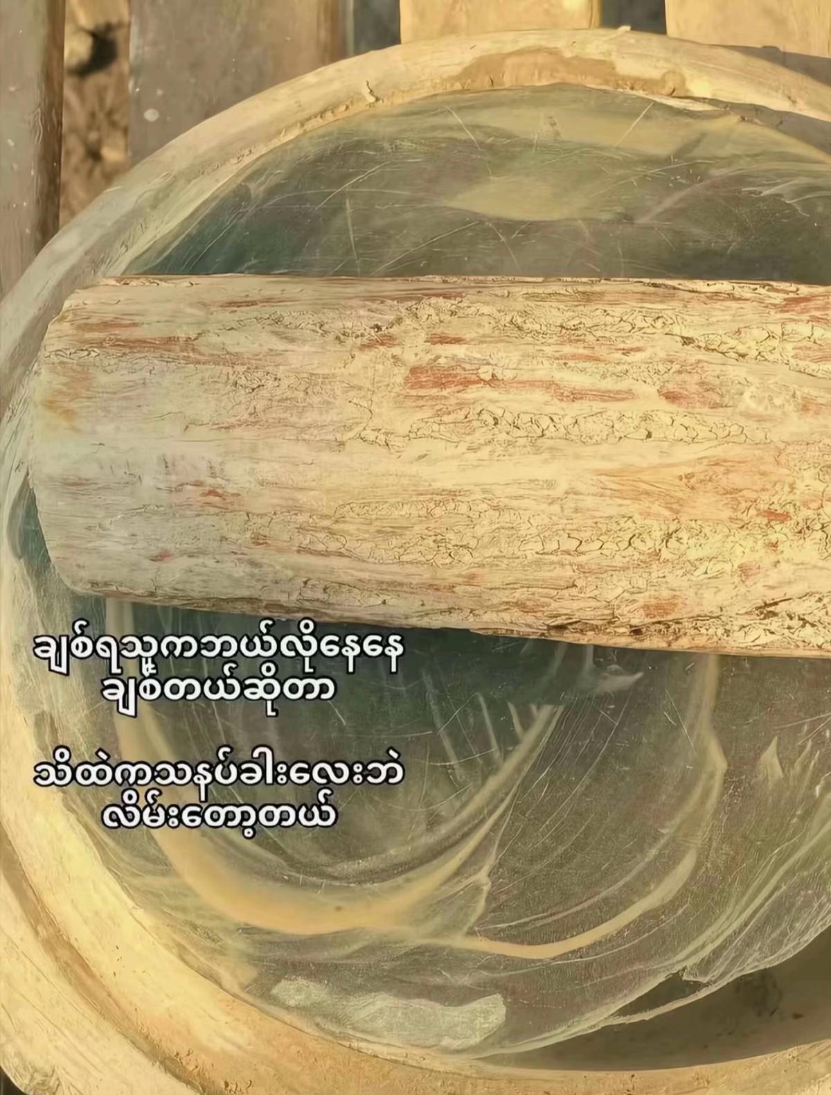 @๐๐จ๐ช๐๐ก๐ข๐ง๐(Official2.8M)
