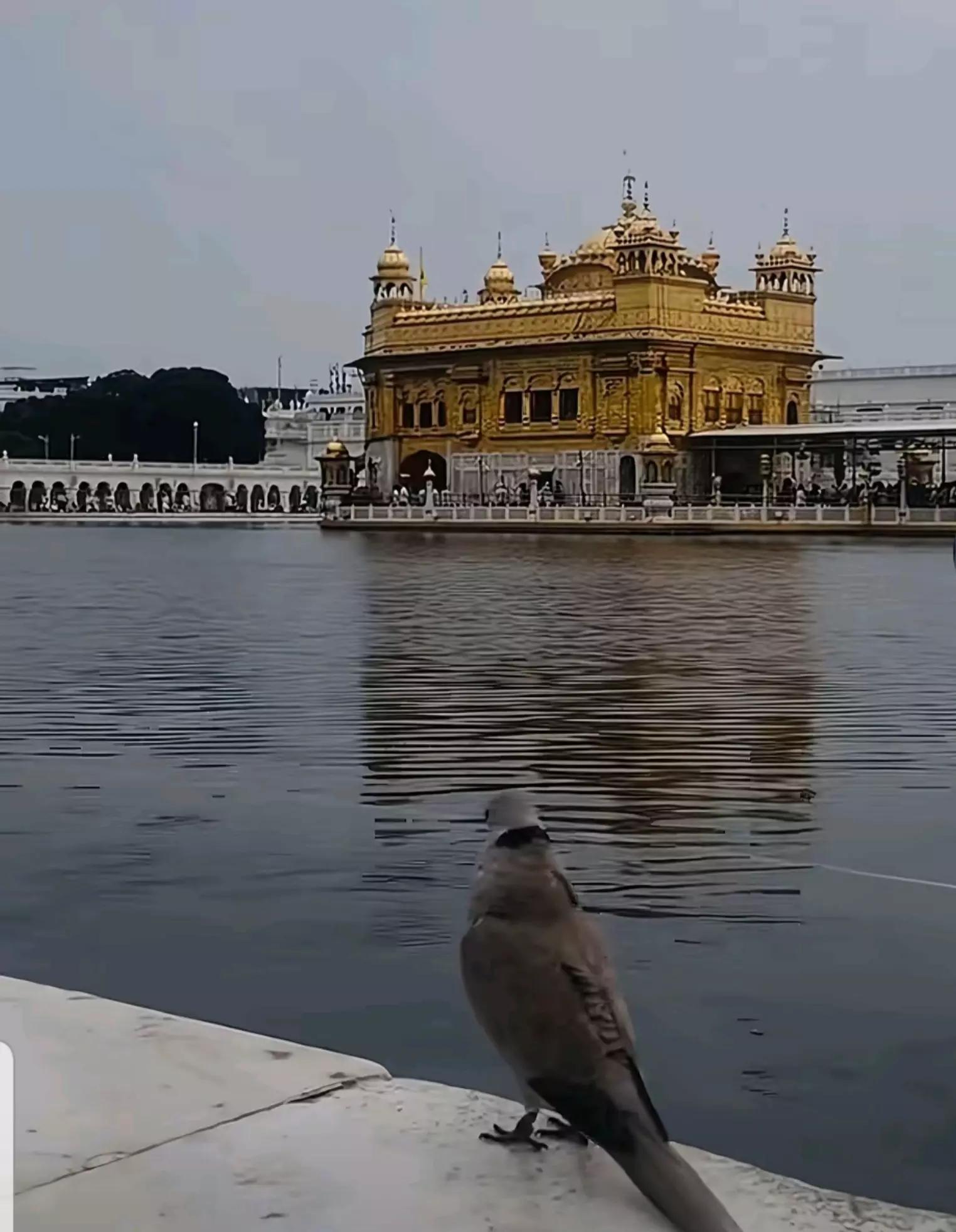 @punjabi
