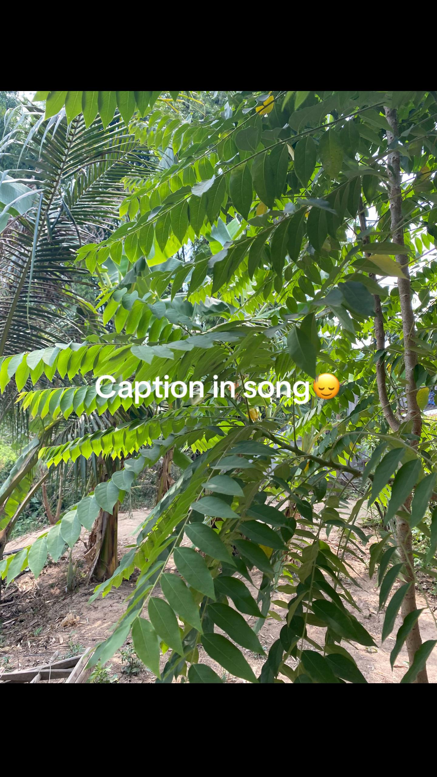 @Whoo….?
