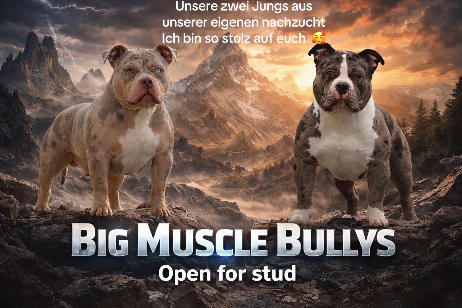 @big_muscle_bullys