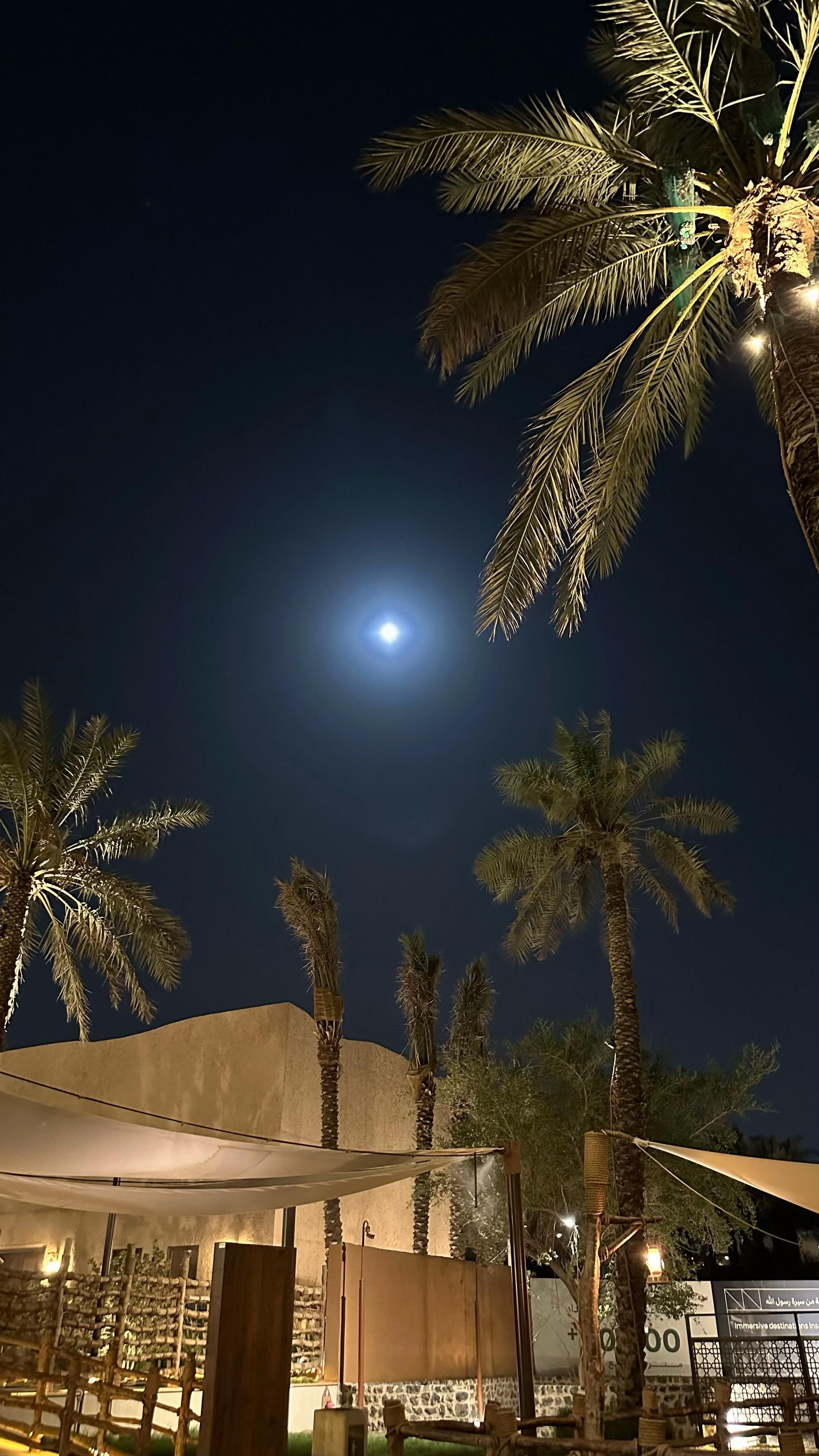 @مـاجد الحربي