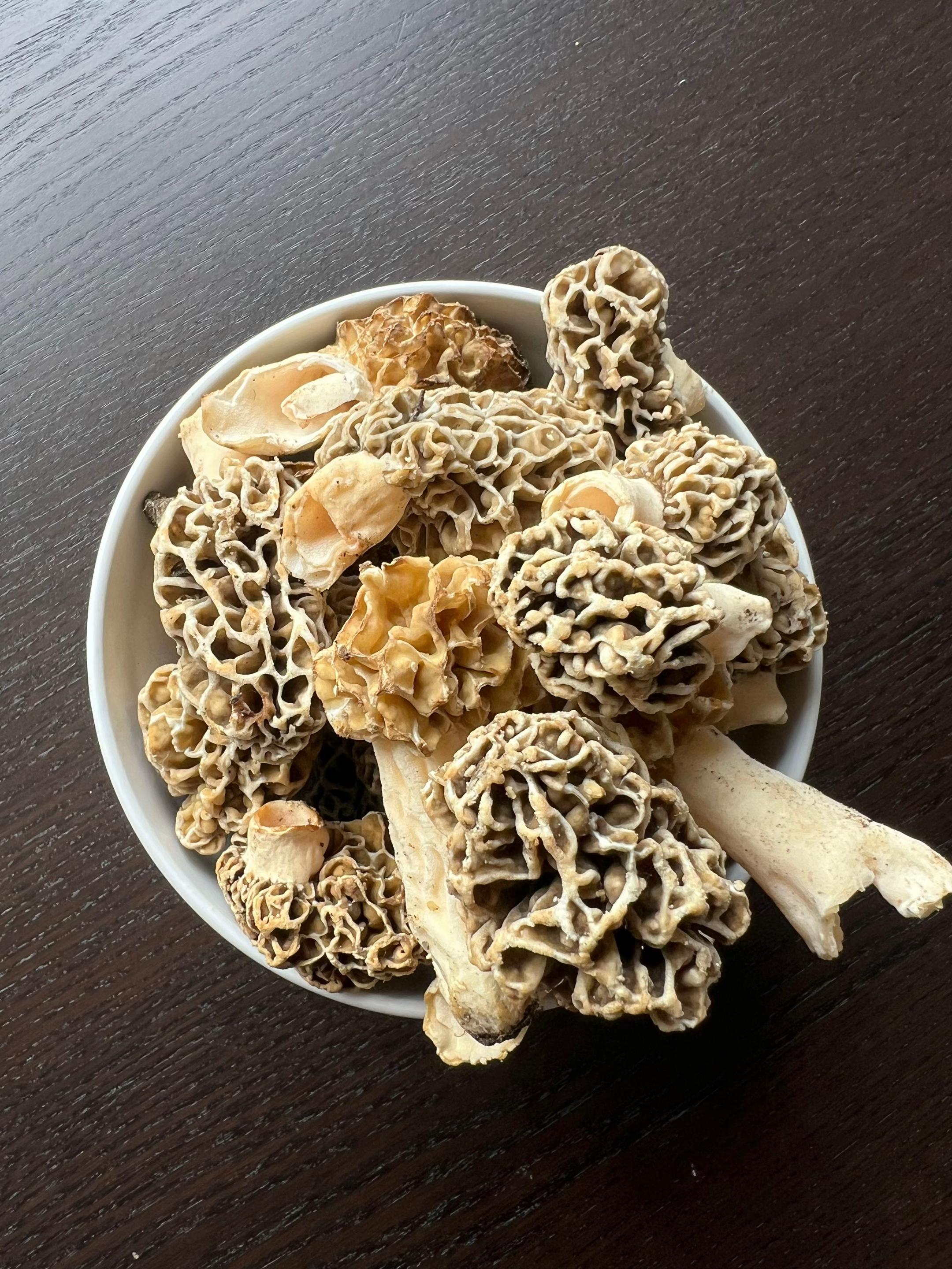 @The Mushroom Hub