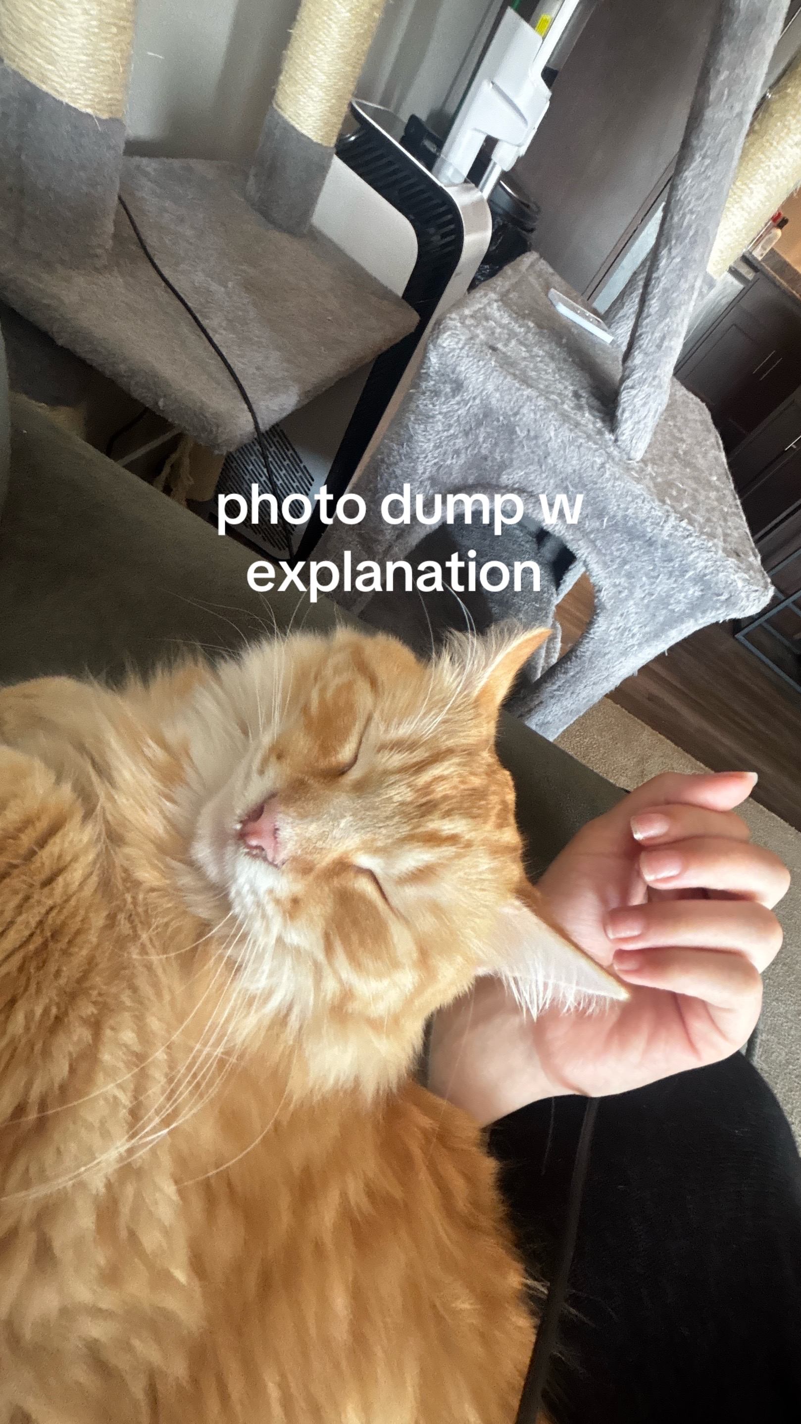 @Marissa 🦝