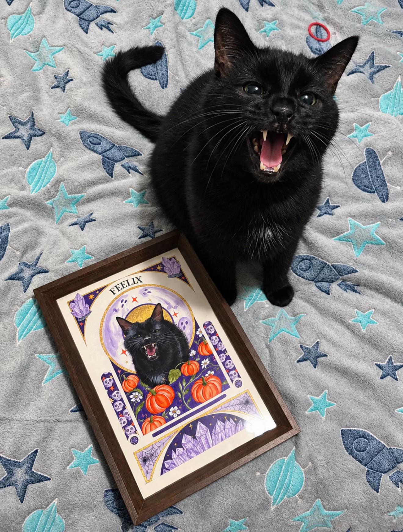 @Teefie_tribe 🐈⬛🐈⬛🐈🦷🦷