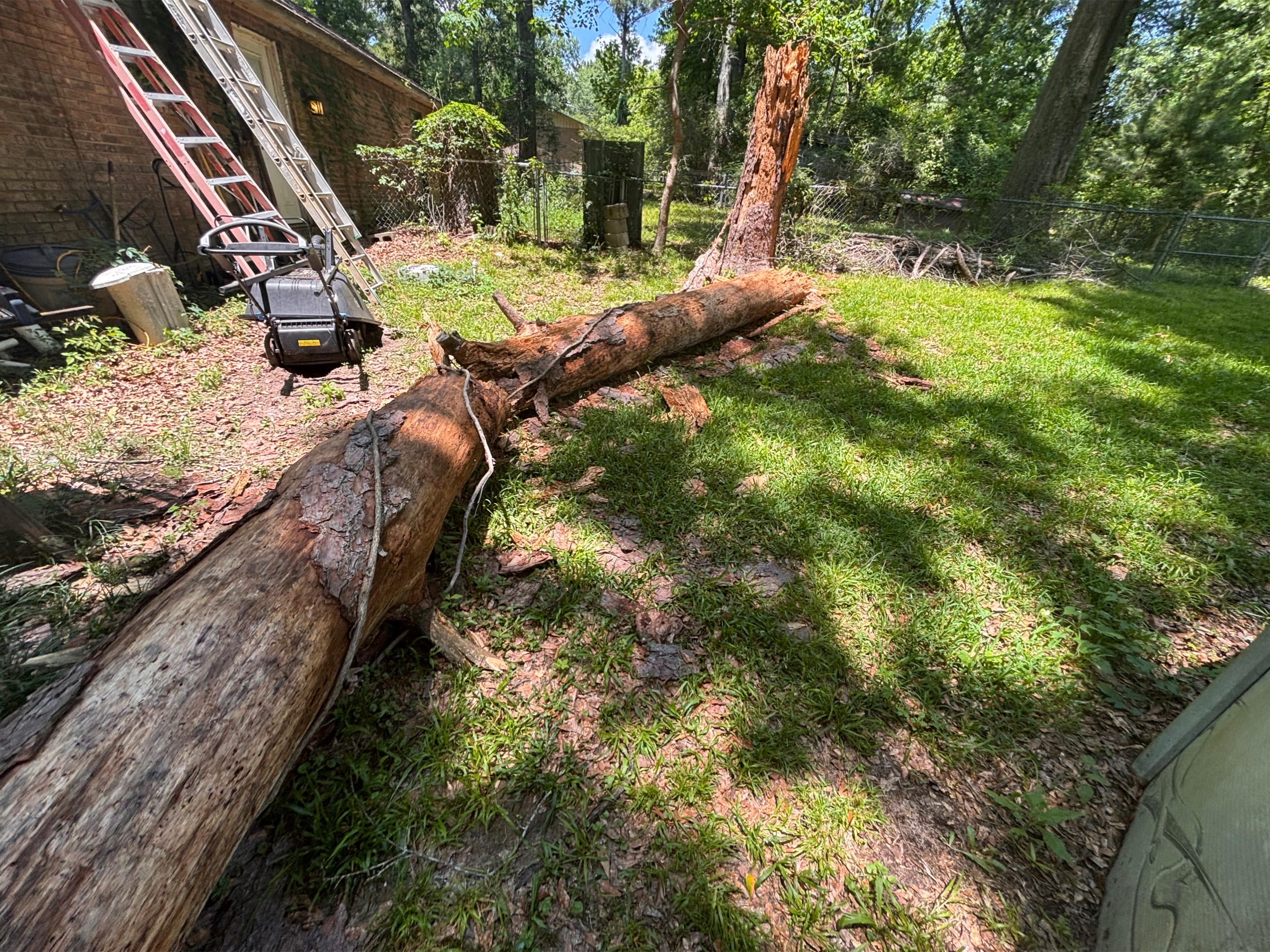 @CSR Tree Service, LLC.