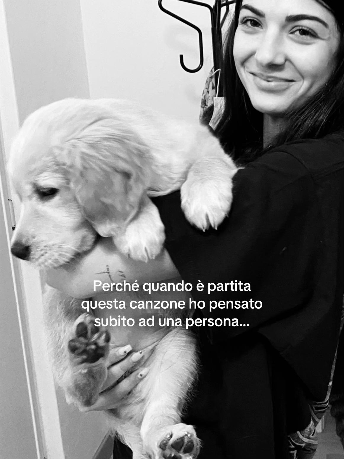 @ℳaino