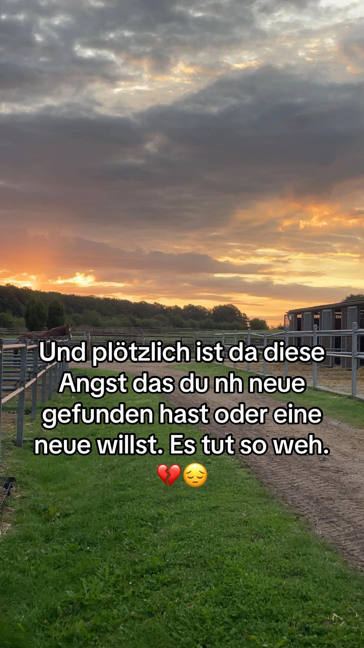 @C&auml;cilia_5