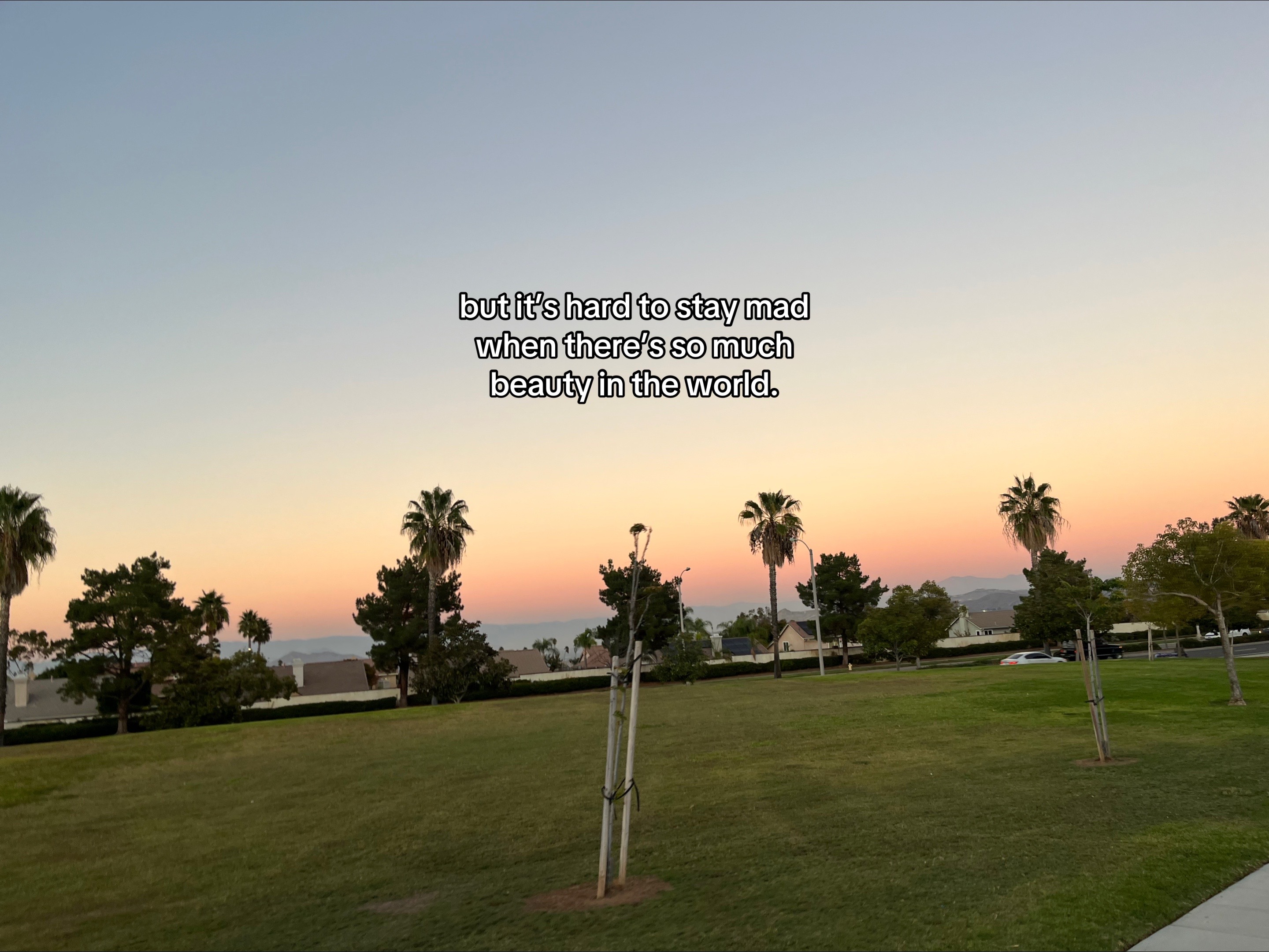 @ᥫ᭡𝓶𝓲𝓵𝓵𝓼ﾒ𝟶