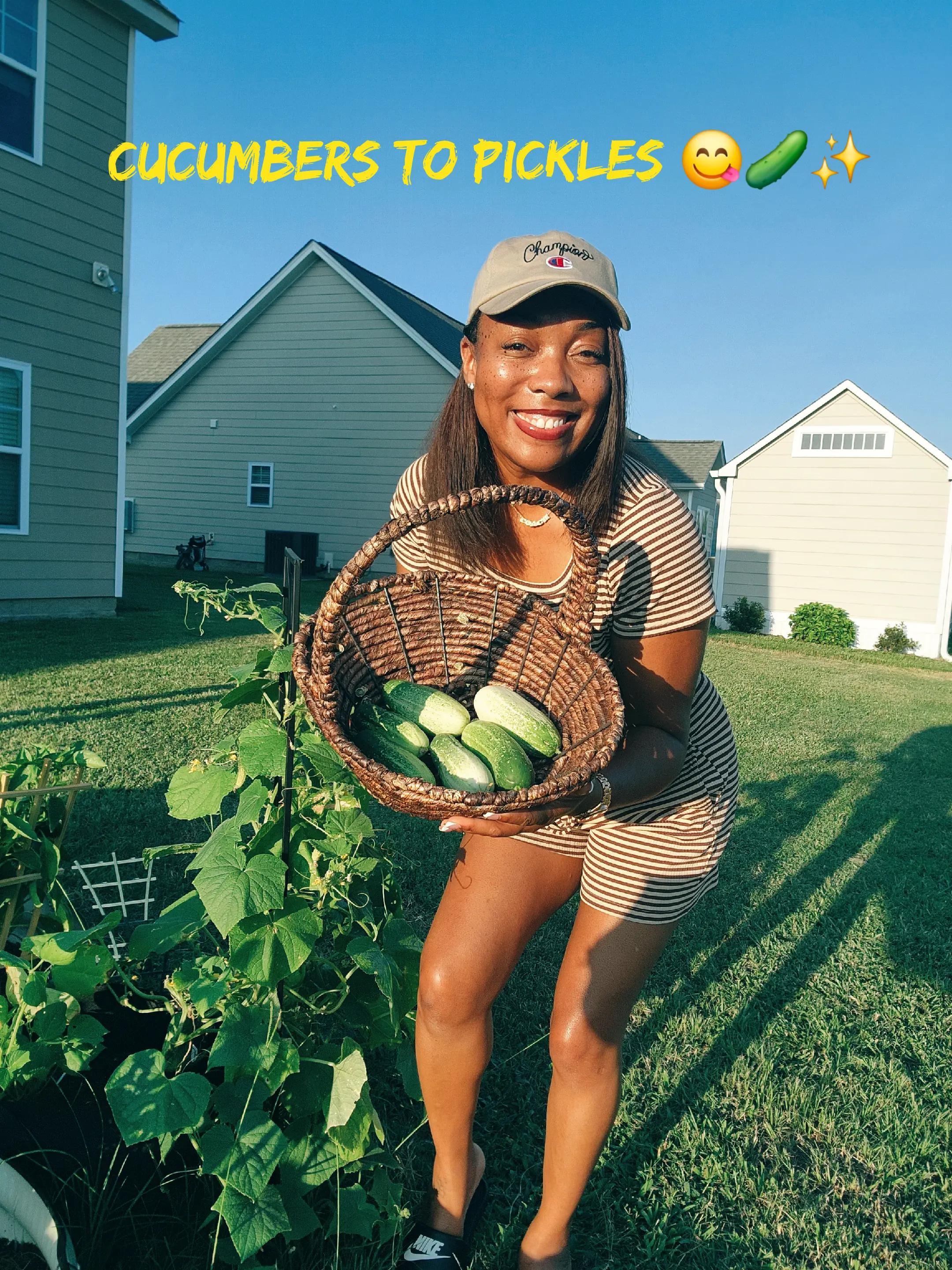 @Ebonie | Insurance + Lifestyle