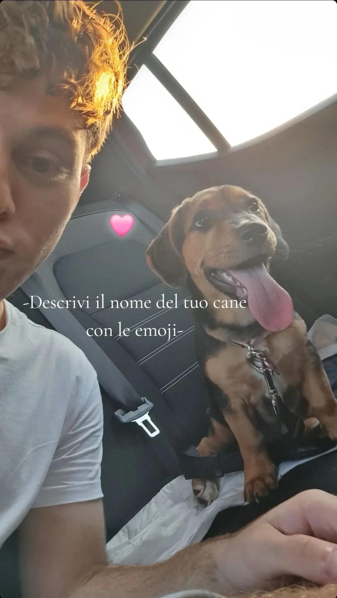 @Cristianpriviii