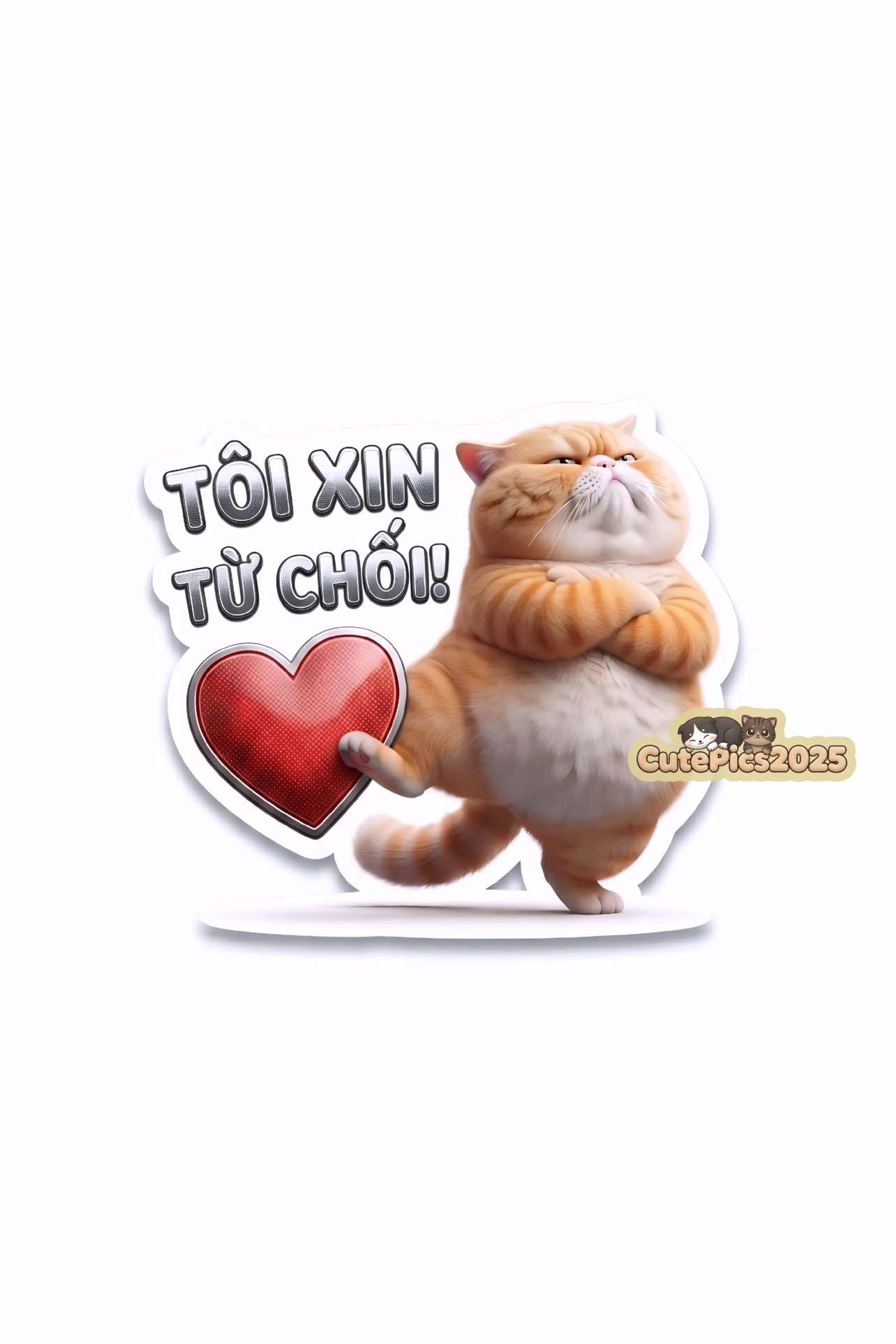 @Cute Pics