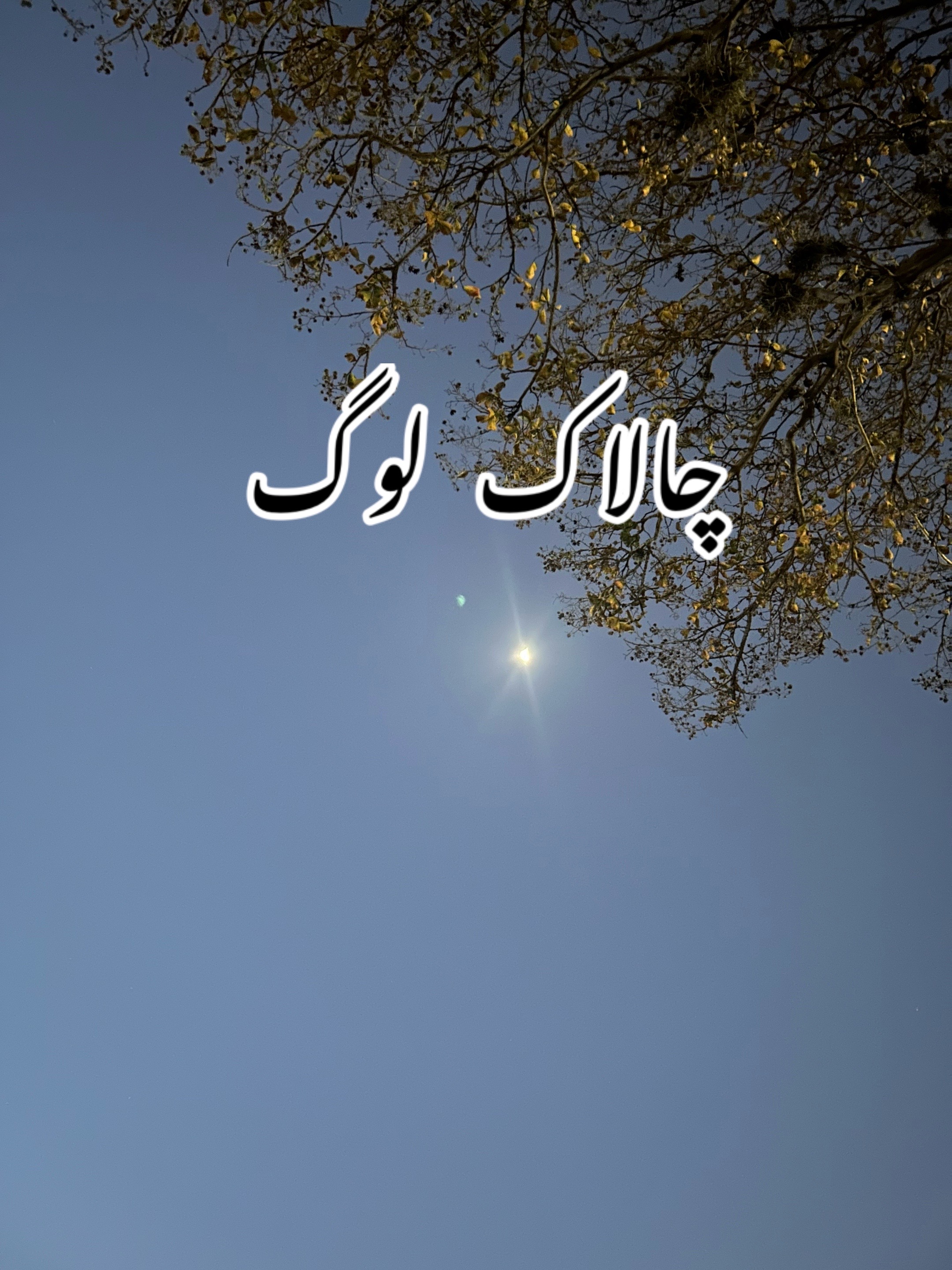 @ZaraHayat020104