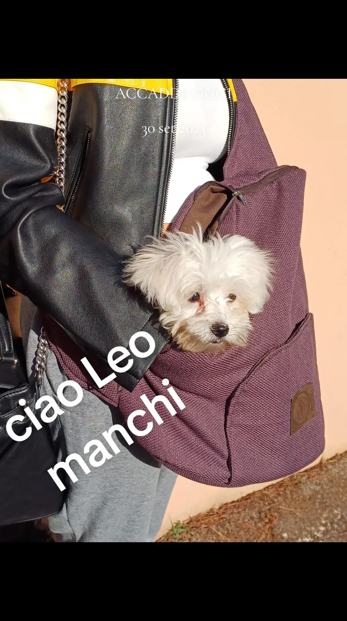 @antonella