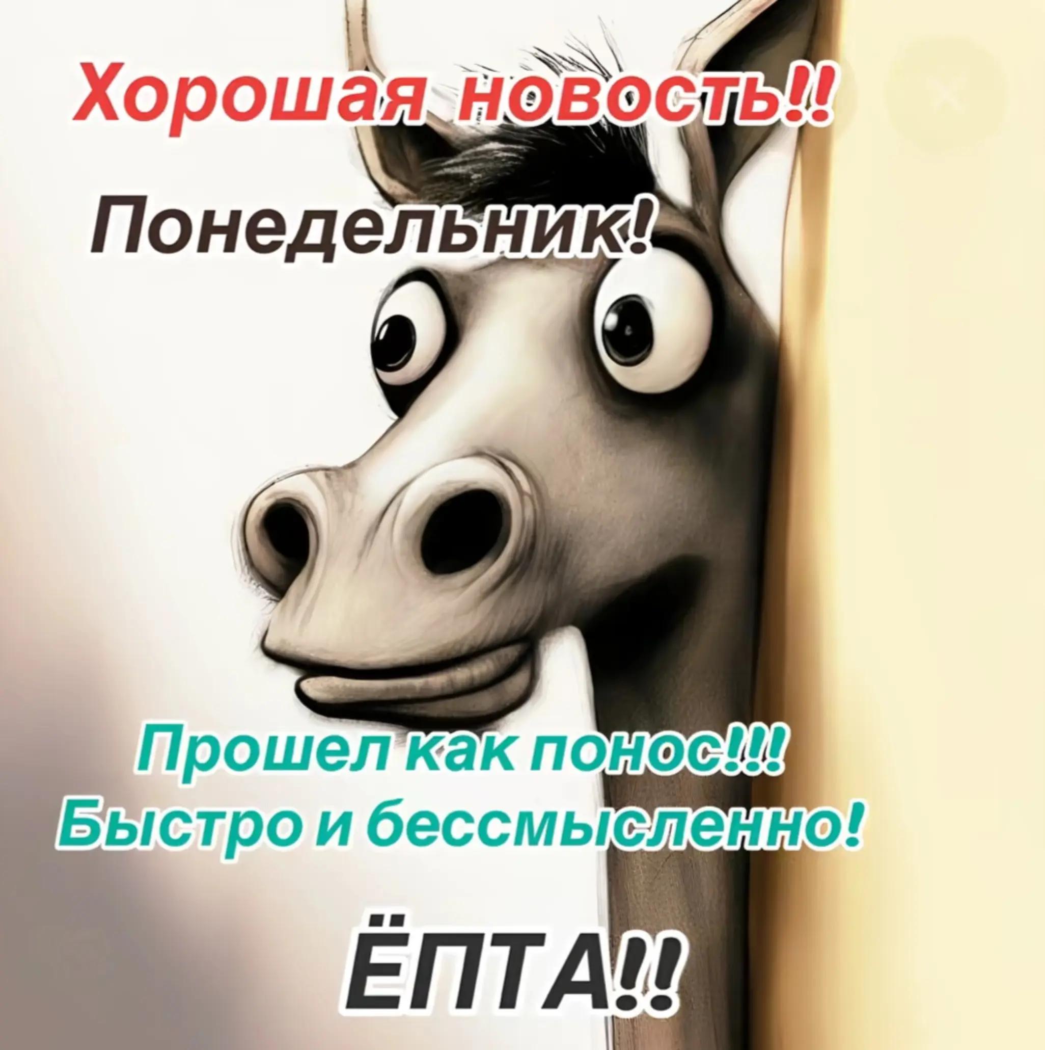@Gritsenko1964