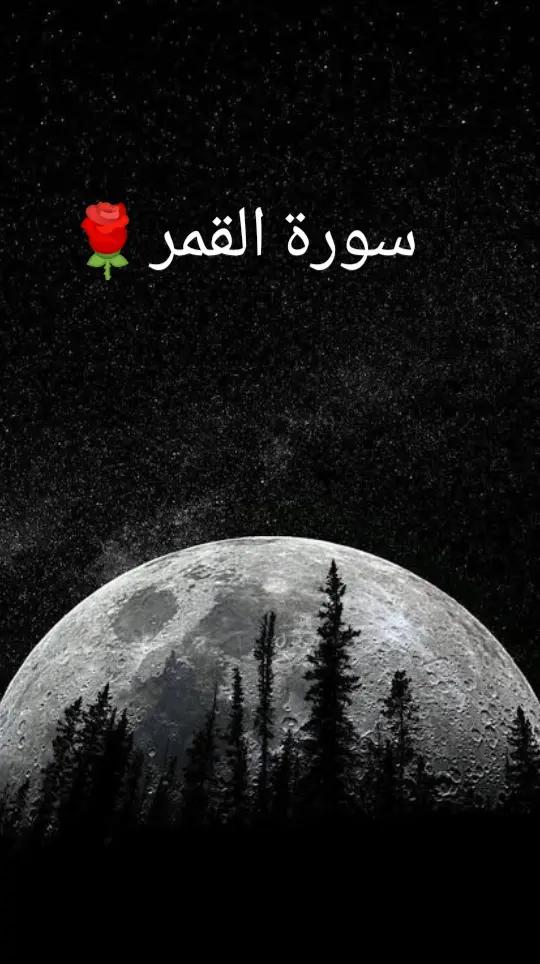 @💫 Mohamed 💫